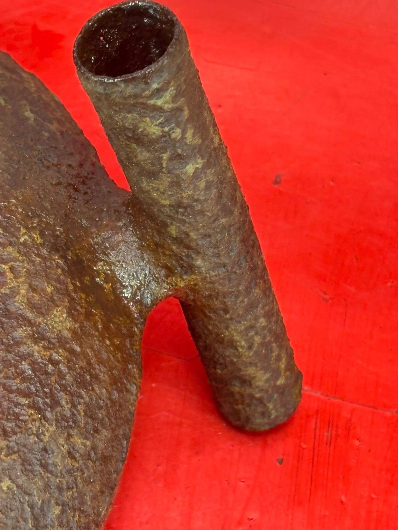 WhatsApp Image 2026-03-12 at 15.27.52 (5).jpeg