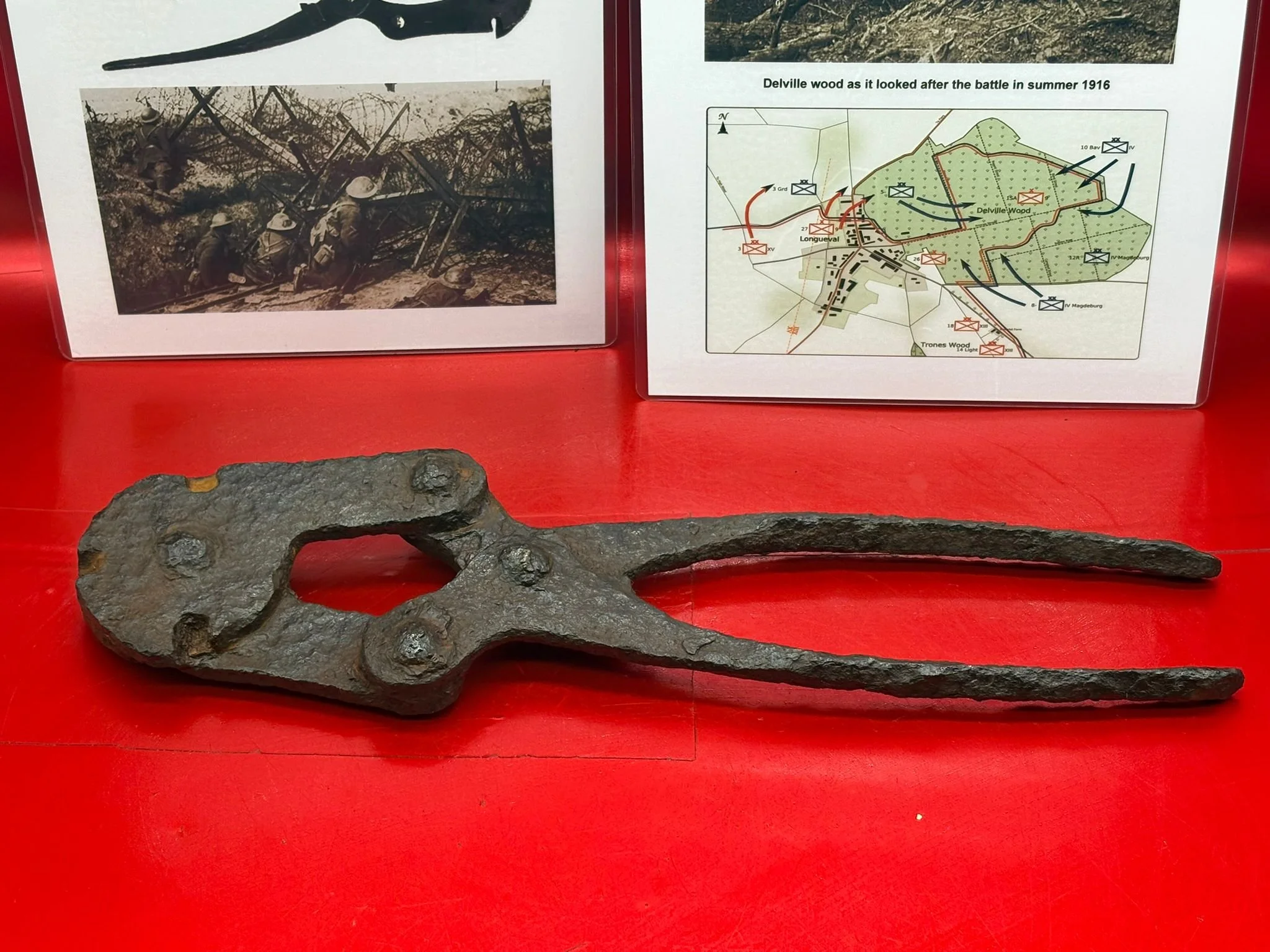 WhatsApp Image 2025-11-12 at 15.04.24.jpeg