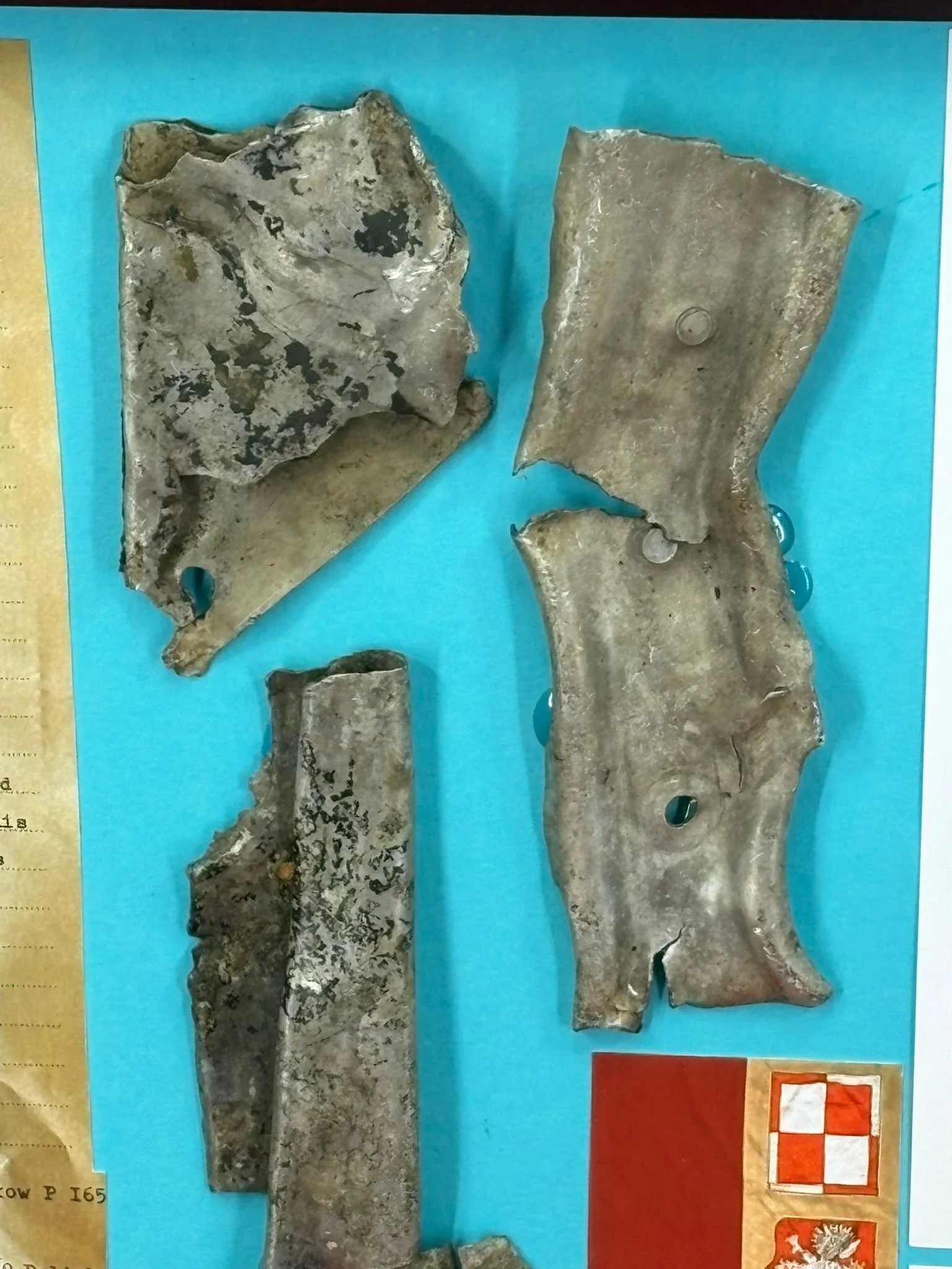 WhatsApp Image 2026-03-11 at 13.07.07 (4).jpeg