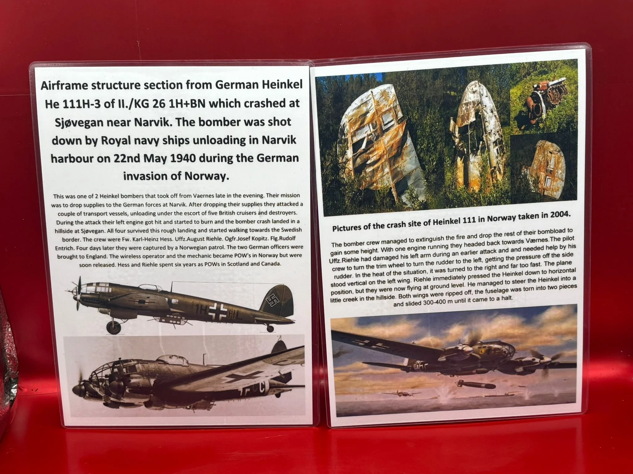 WhatsApp Image 2026-02-10 at 12.05.48 (2).jpeg