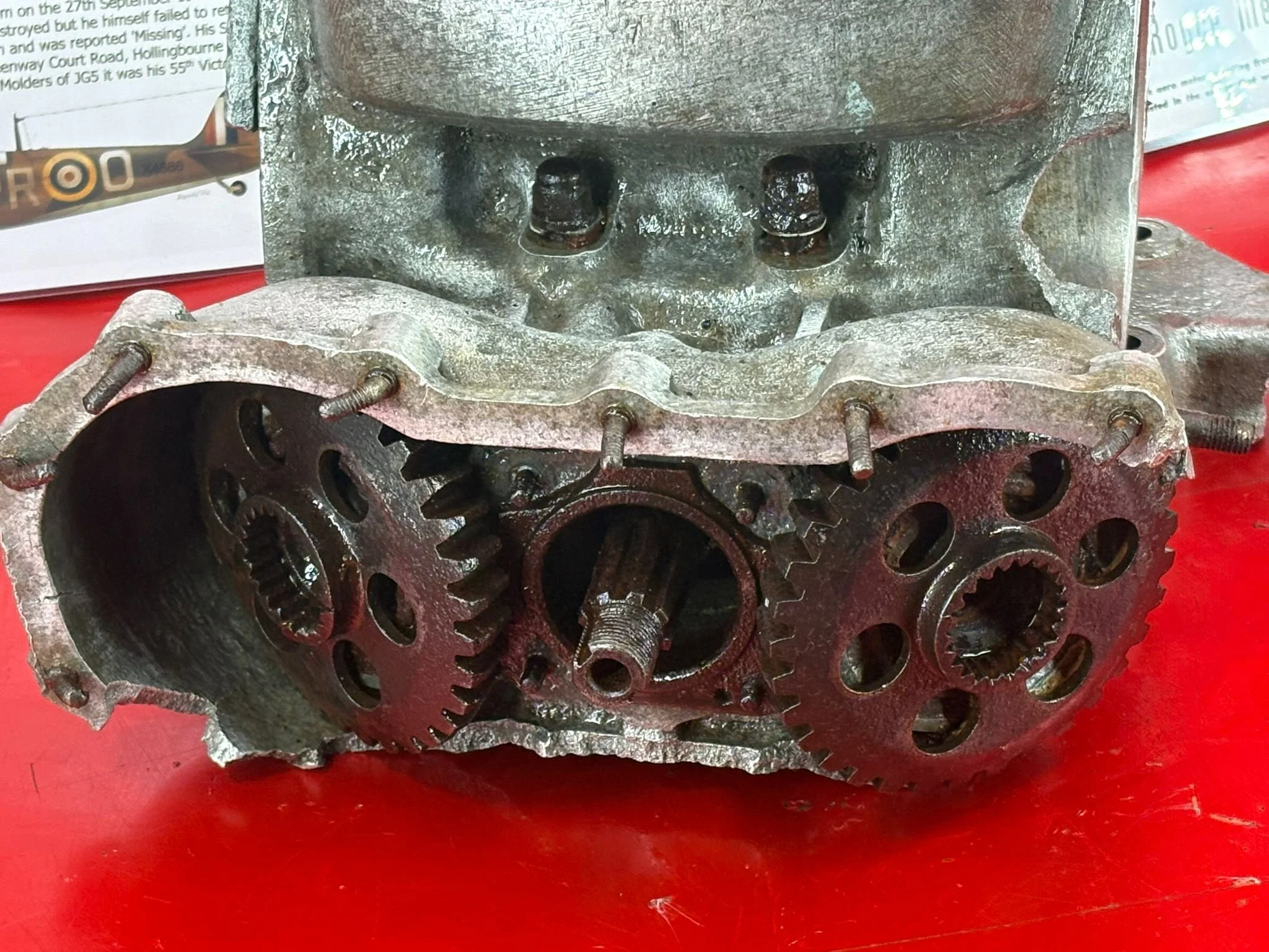 WhatsApp Image 2026-02-10 at 11.56.40.jpeg