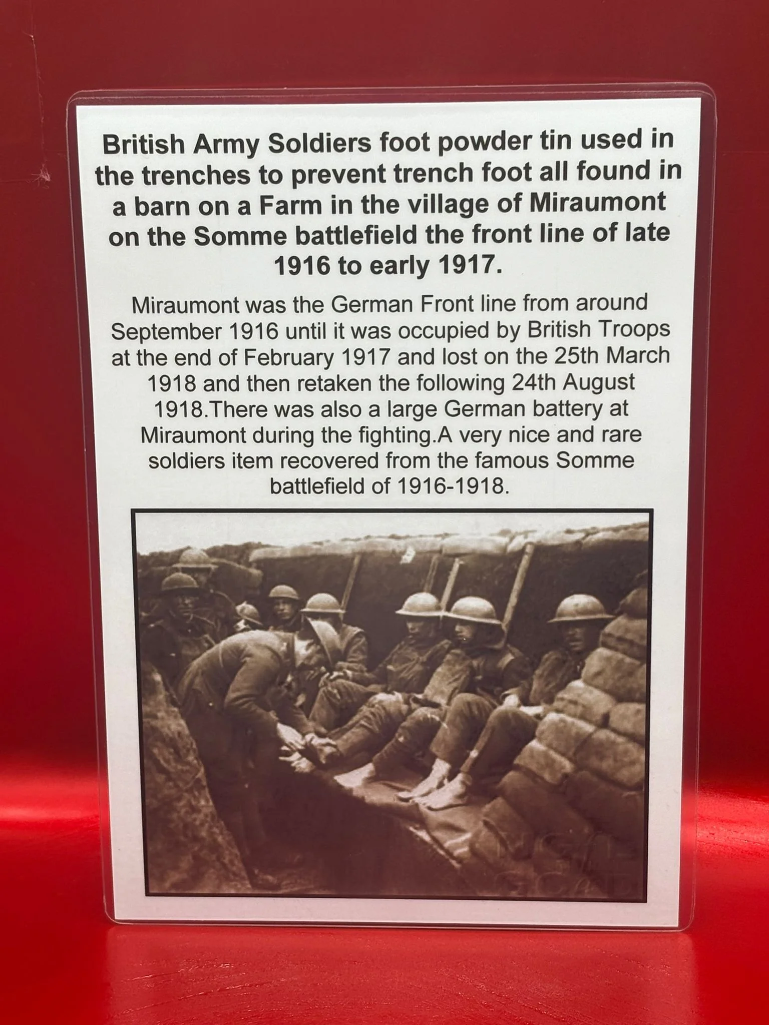 WhatsApp Image 2025-11-11 at 10.26.45 (3).jpeg