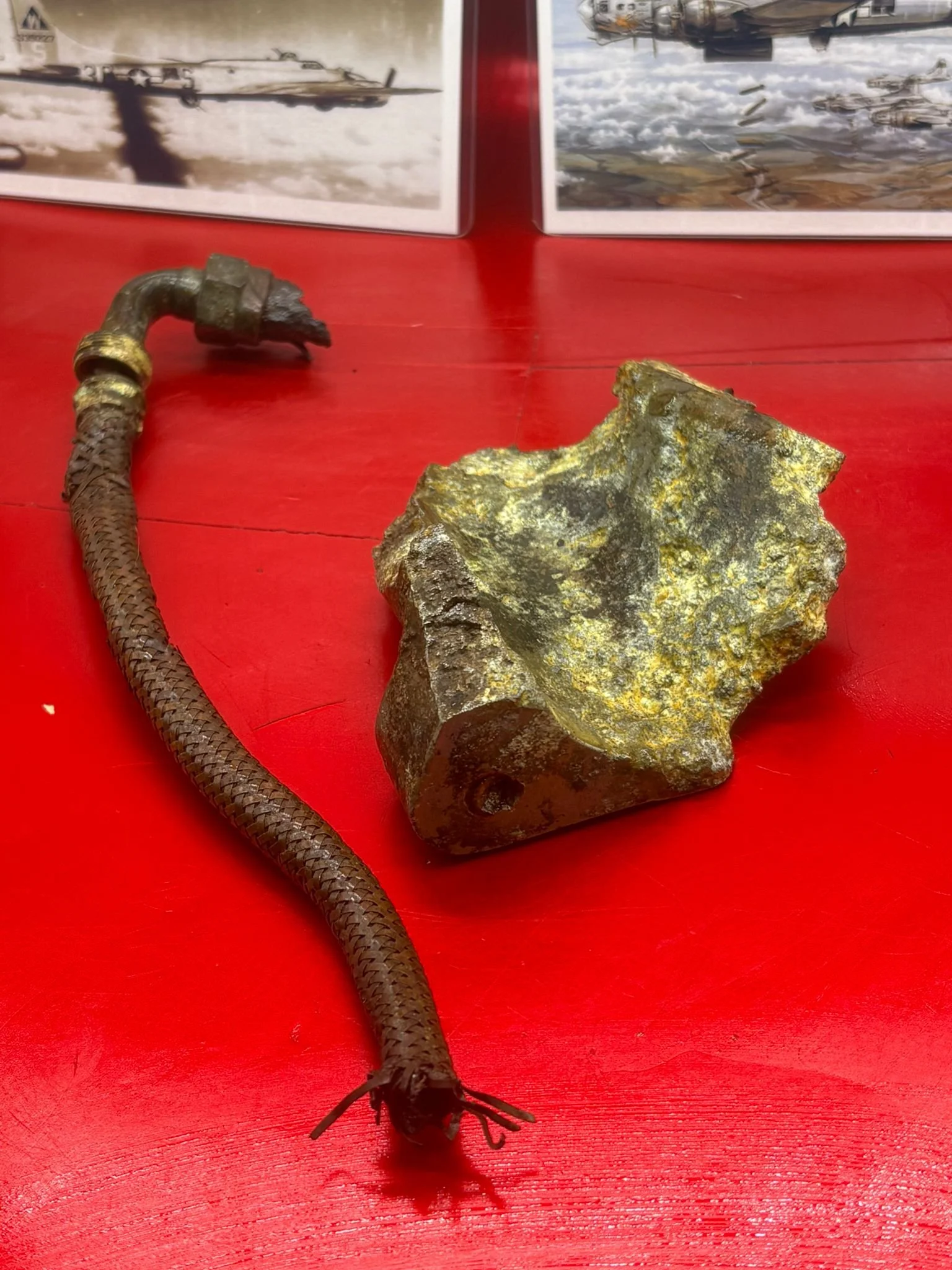 WhatsApp Image 2026-02-13 at 16.14.12.jpeg