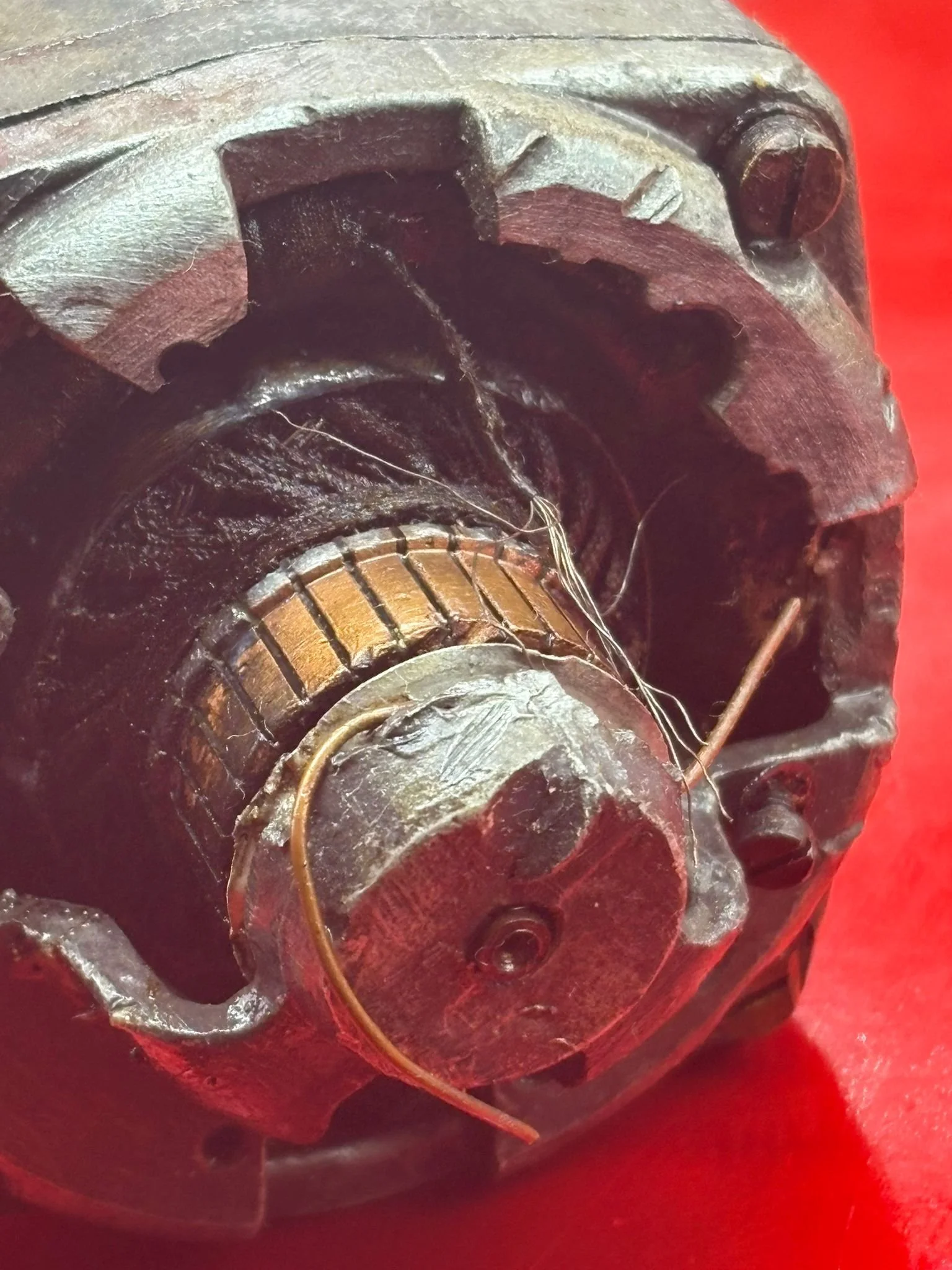 WhatsApp Image 2026-03-12 at 15.21.29.jpeg