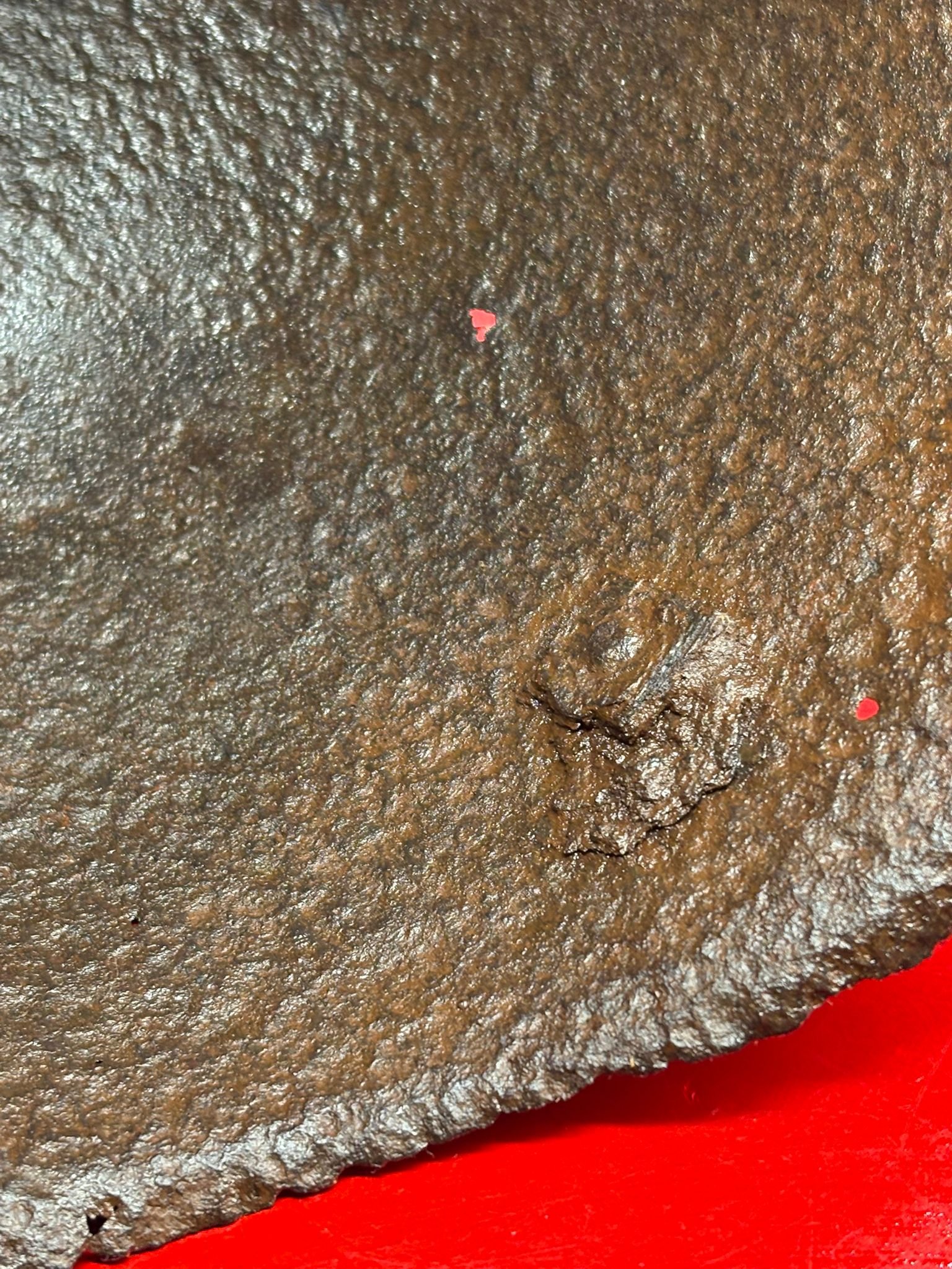 WhatsApp Image 2025-10-27 at 15.59.05 (1).jpeg