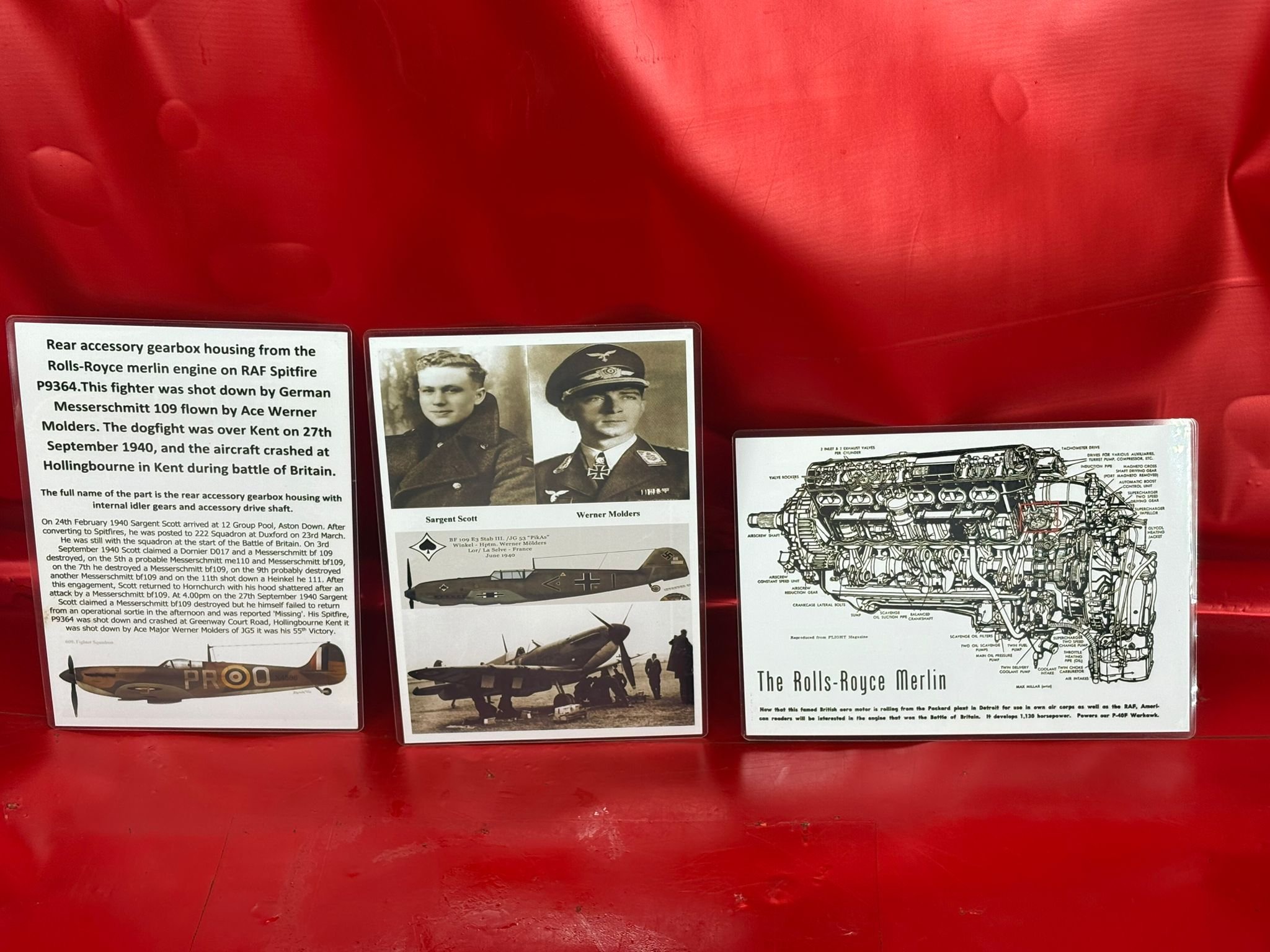 WhatsApp Image 2026-02-10 at 11.56.41 (2).jpeg