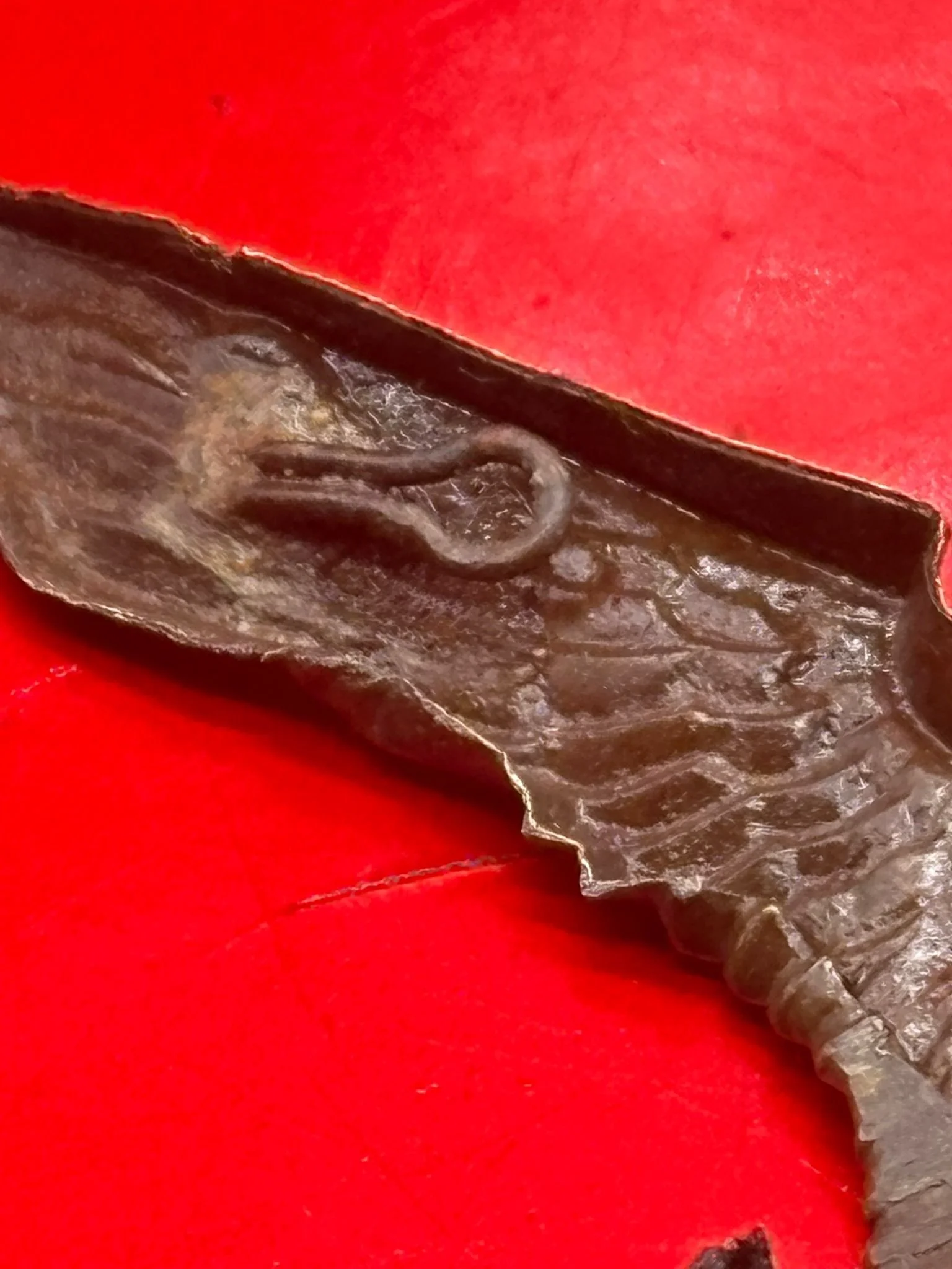 WhatsApp Image 2025-11-20 at 19.05.49 (3).jpeg