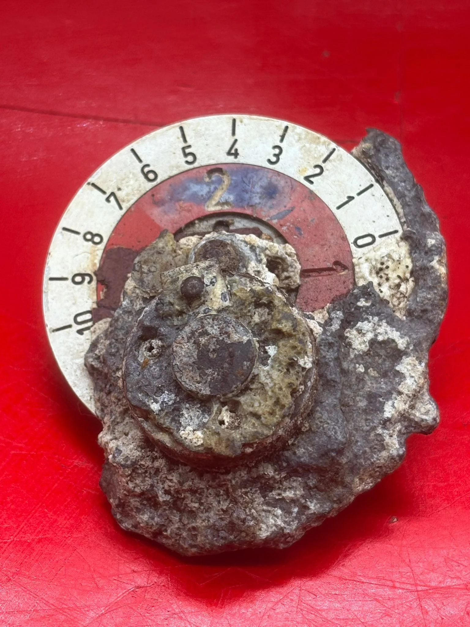 WhatsApp Image 2026-02-13 at 16.21.51.jpeg