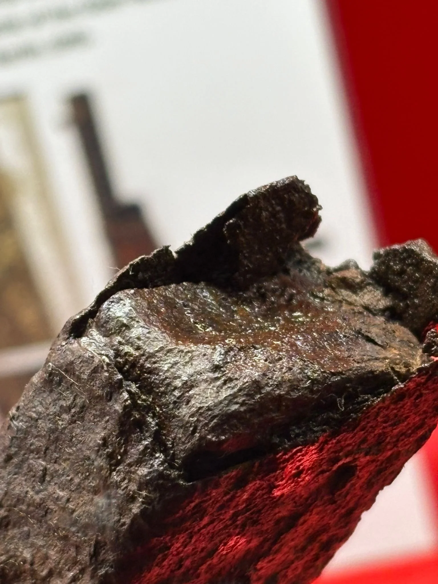 WhatsApp Image 2025-10-22 at 18.03.03 (1).jpeg