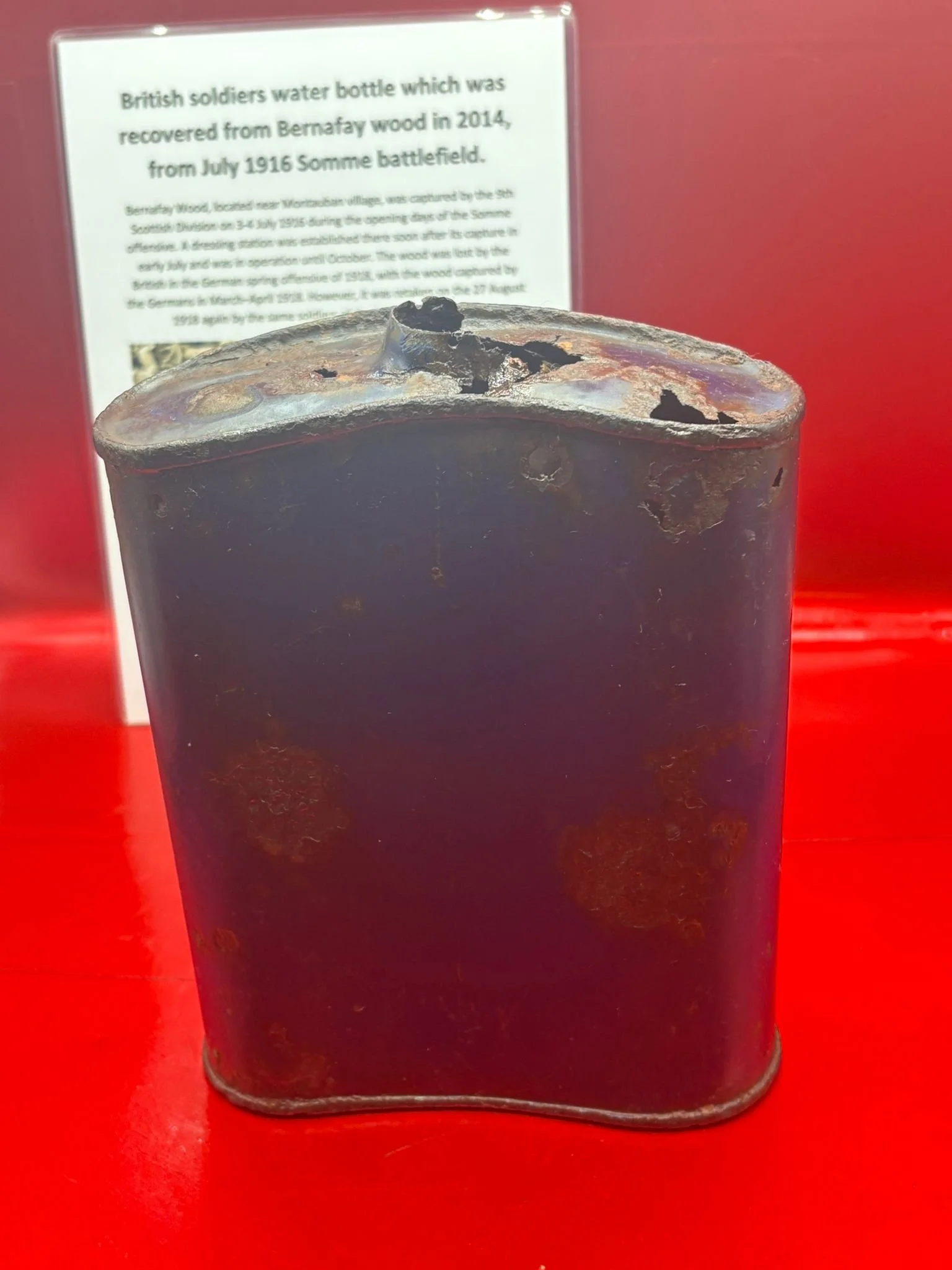 WhatsApp Image 2025-11-11 at 10.18.18 (3).jpeg