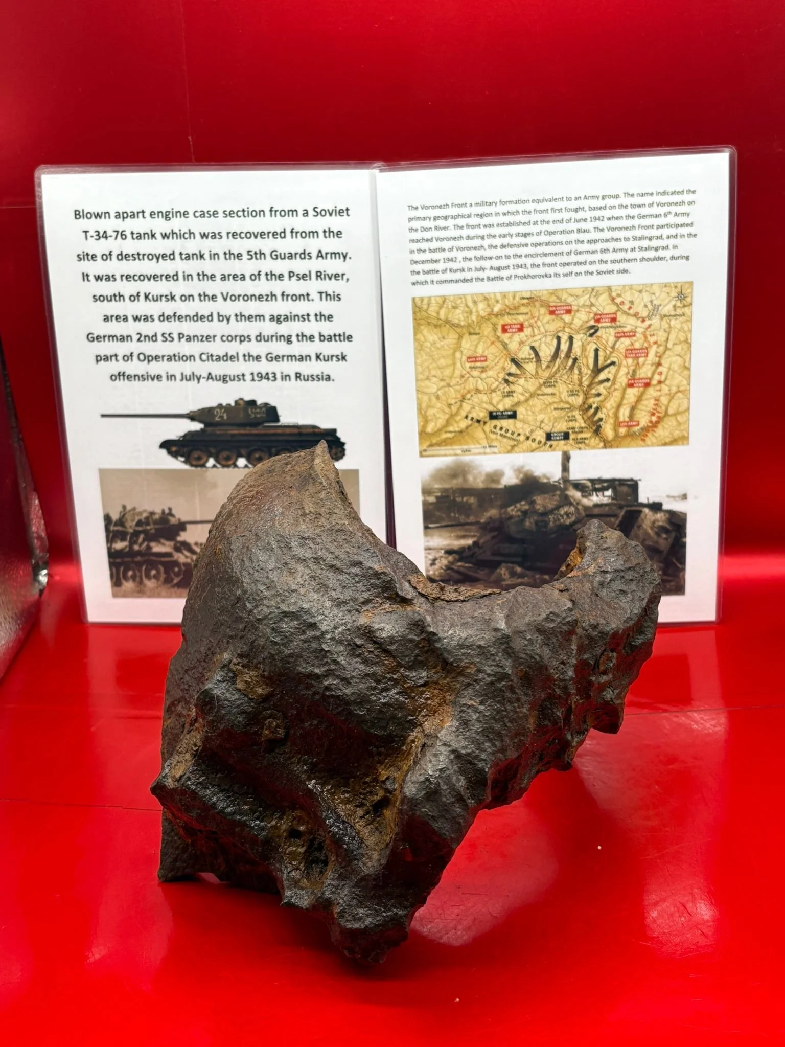 WhatsApp Image 2025-11-24 at 16.53.18.jpeg