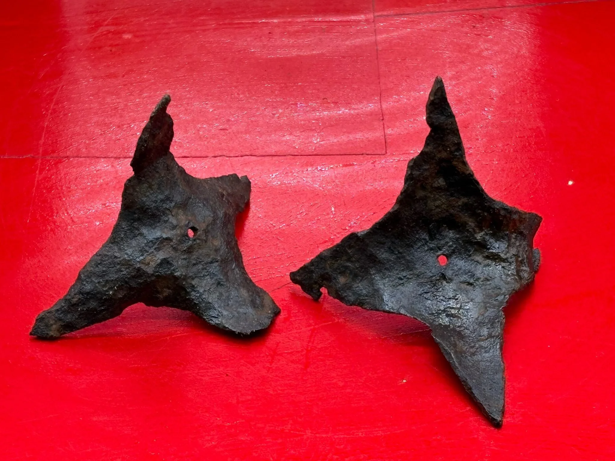 WhatsApp Image 2025-11-12 at 13.14.20.jpeg