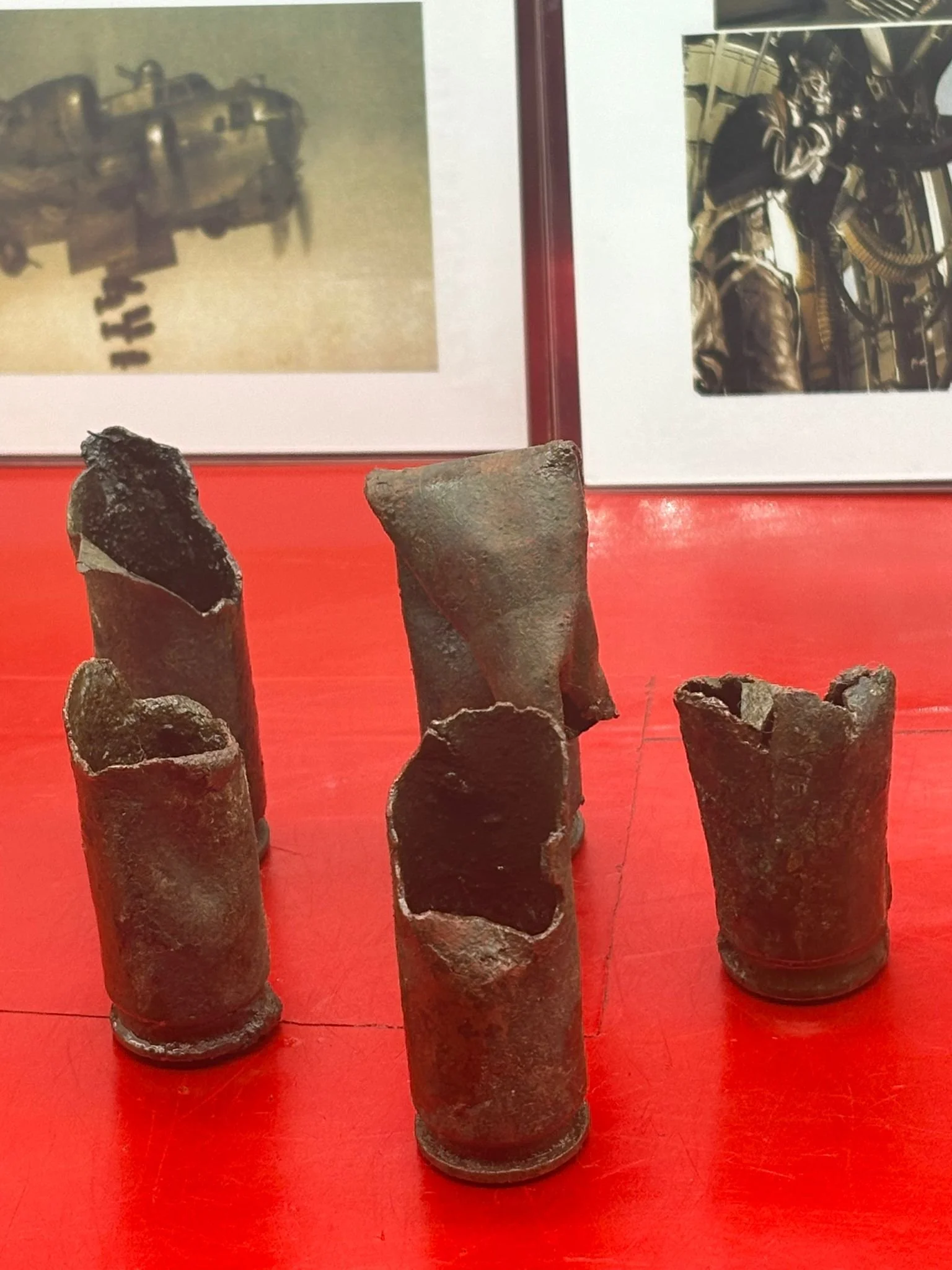 WhatsApp Image 2025-12-08 at 17.00.21.jpeg