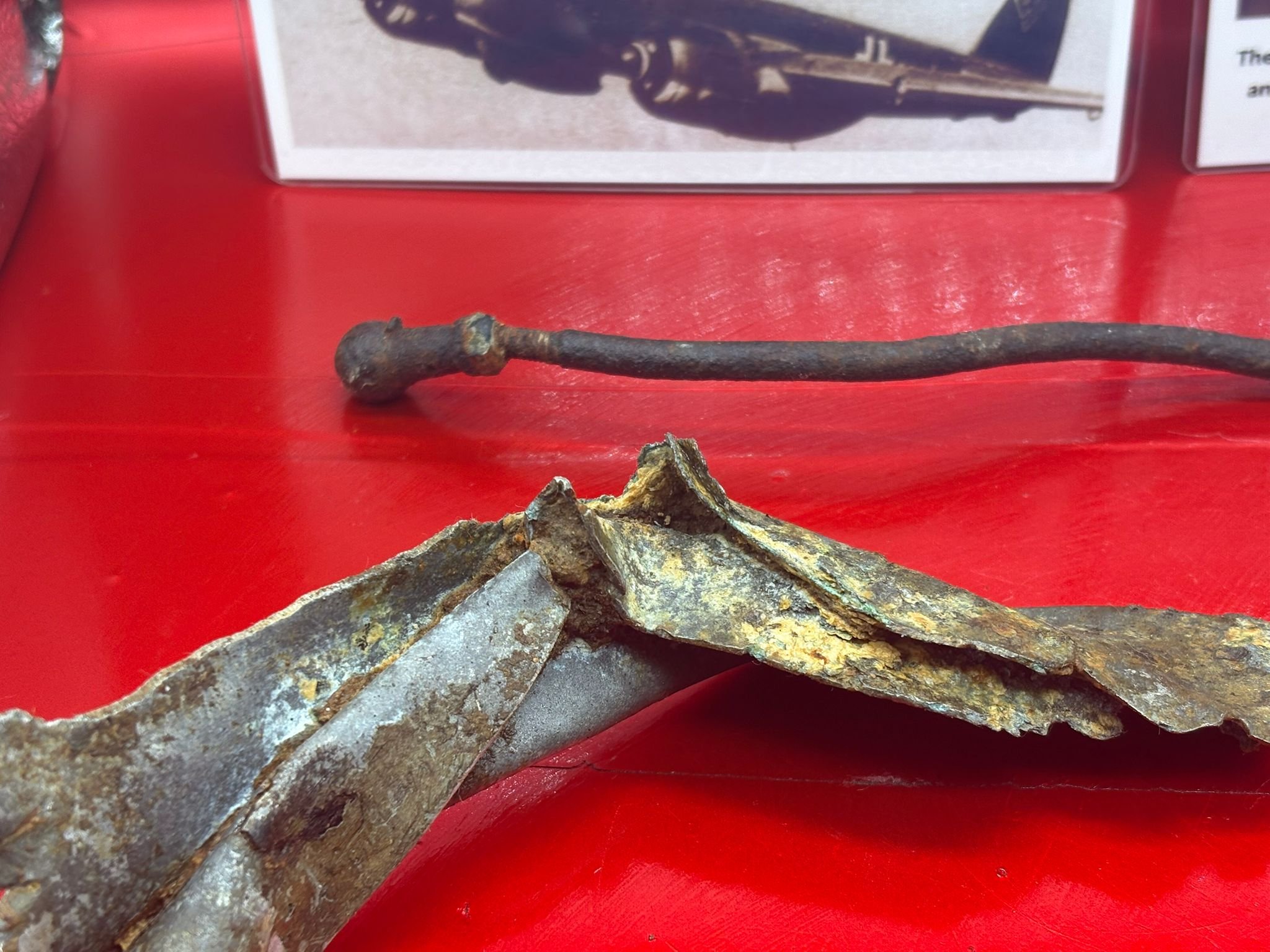 WhatsApp Image 2026-03-12 at 14.21.11.jpeg