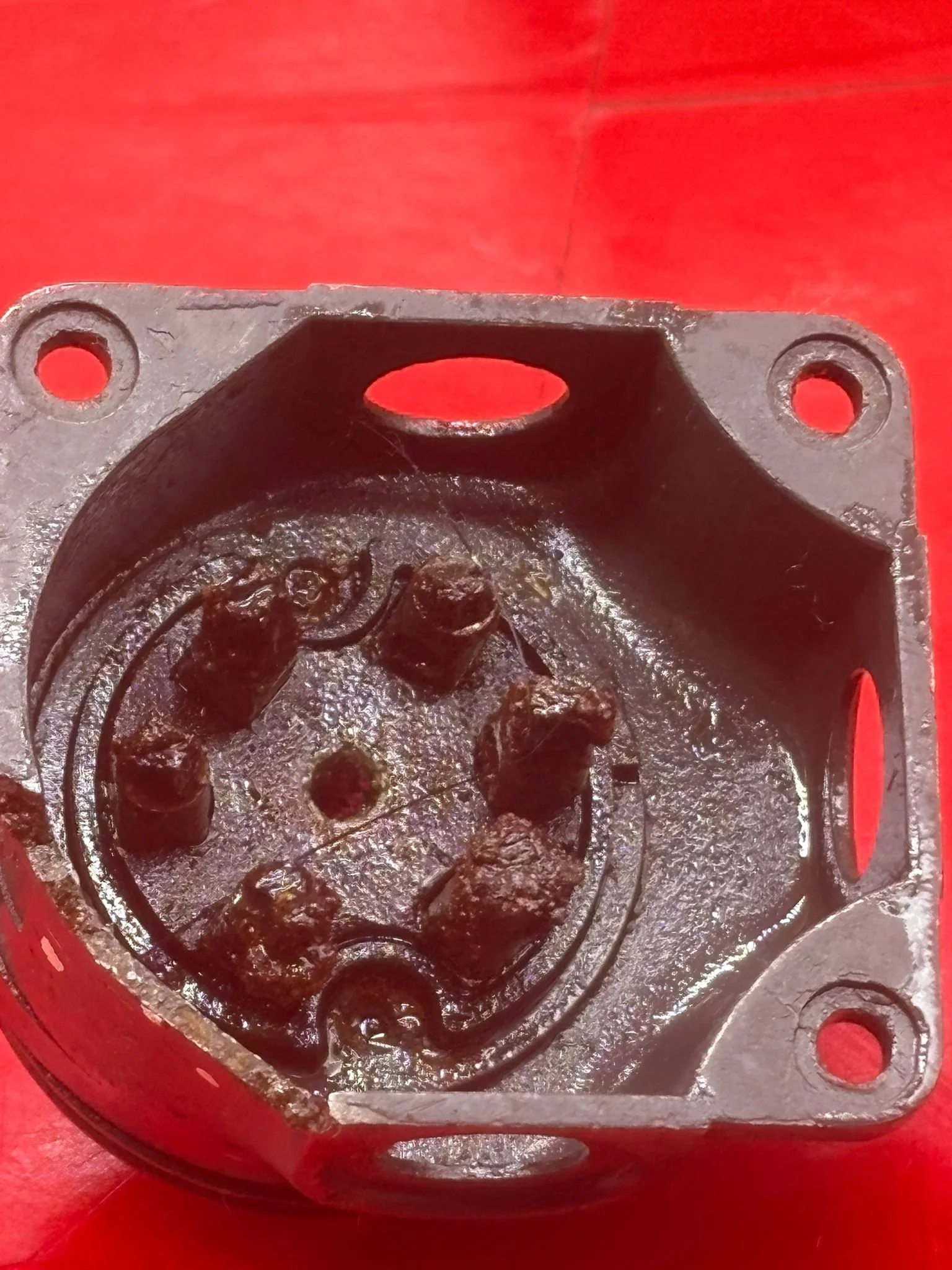 WhatsApp Image 2026-02-13 at 16.21.03 (4).jpeg