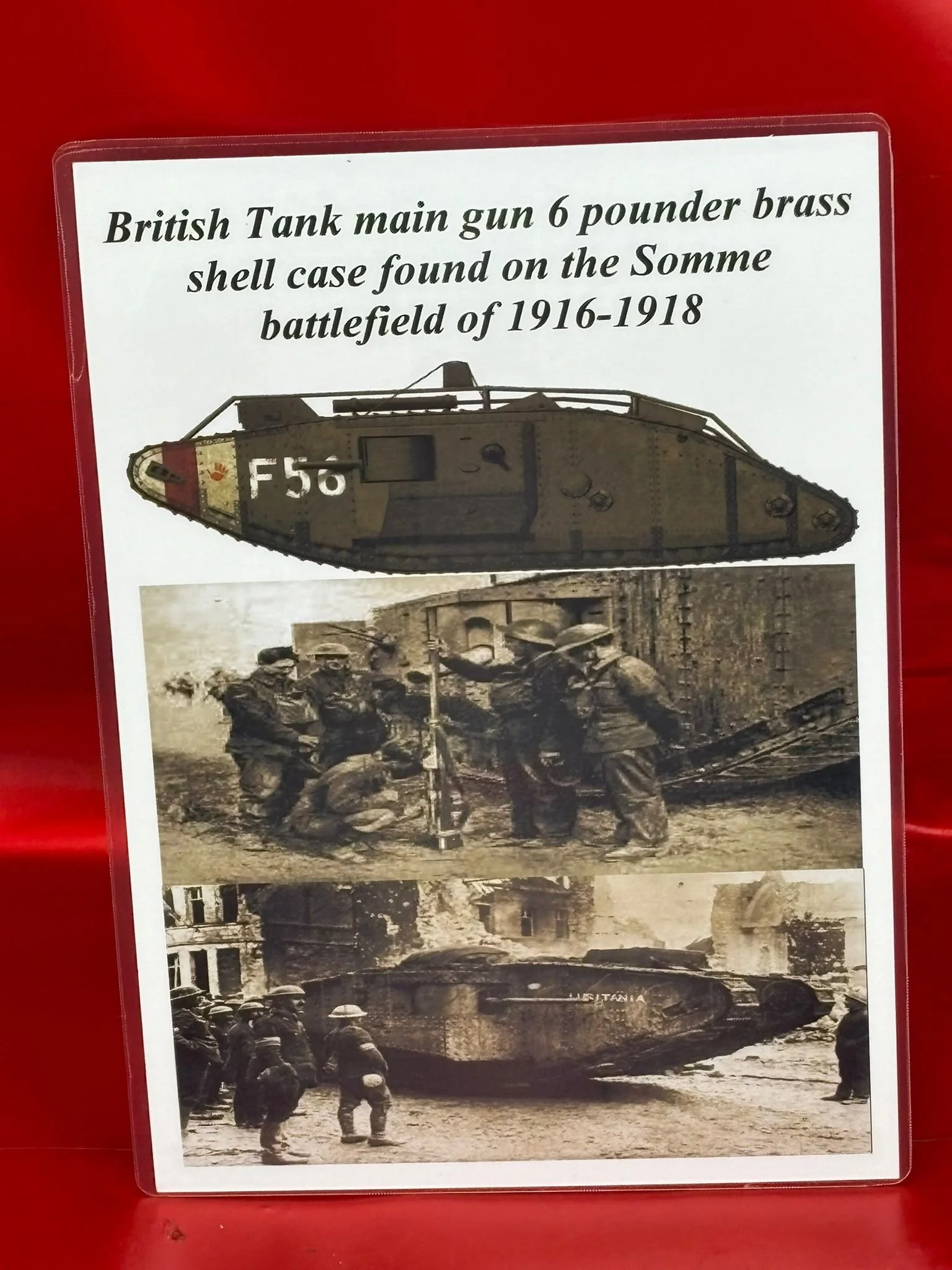 WhatsApp Image 2025-11-16 at 15.25.43 (6).jpeg