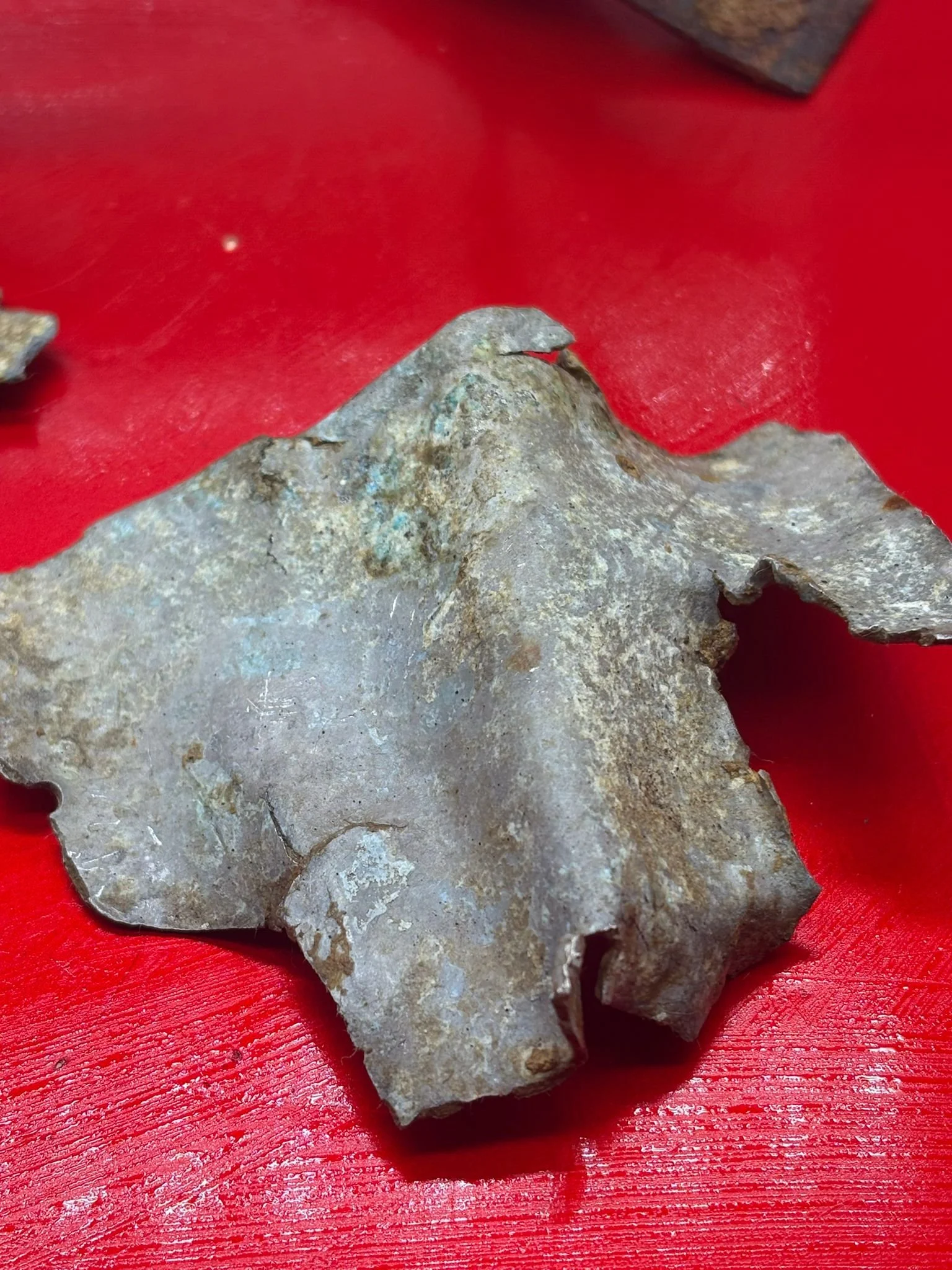 WhatsApp Image 2026-03-12 at 14.20.34 (2).jpeg