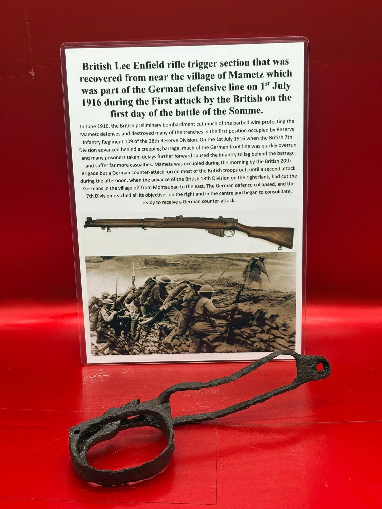 WhatsApp Image 2025-11-12 at 14.52.26.jpeg