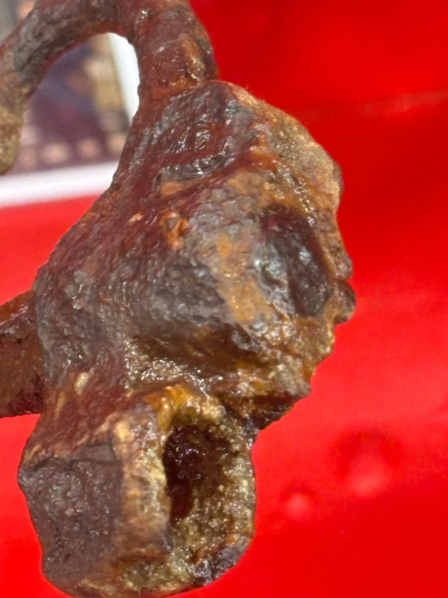 WhatsApp Image 2025-11-16 at 16.04.35 (4).jpeg