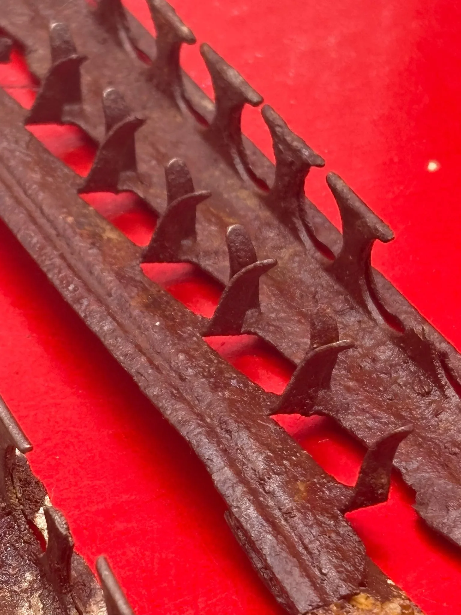 WhatsApp Image 2025-11-11 at 10.23.28 (2).jpeg