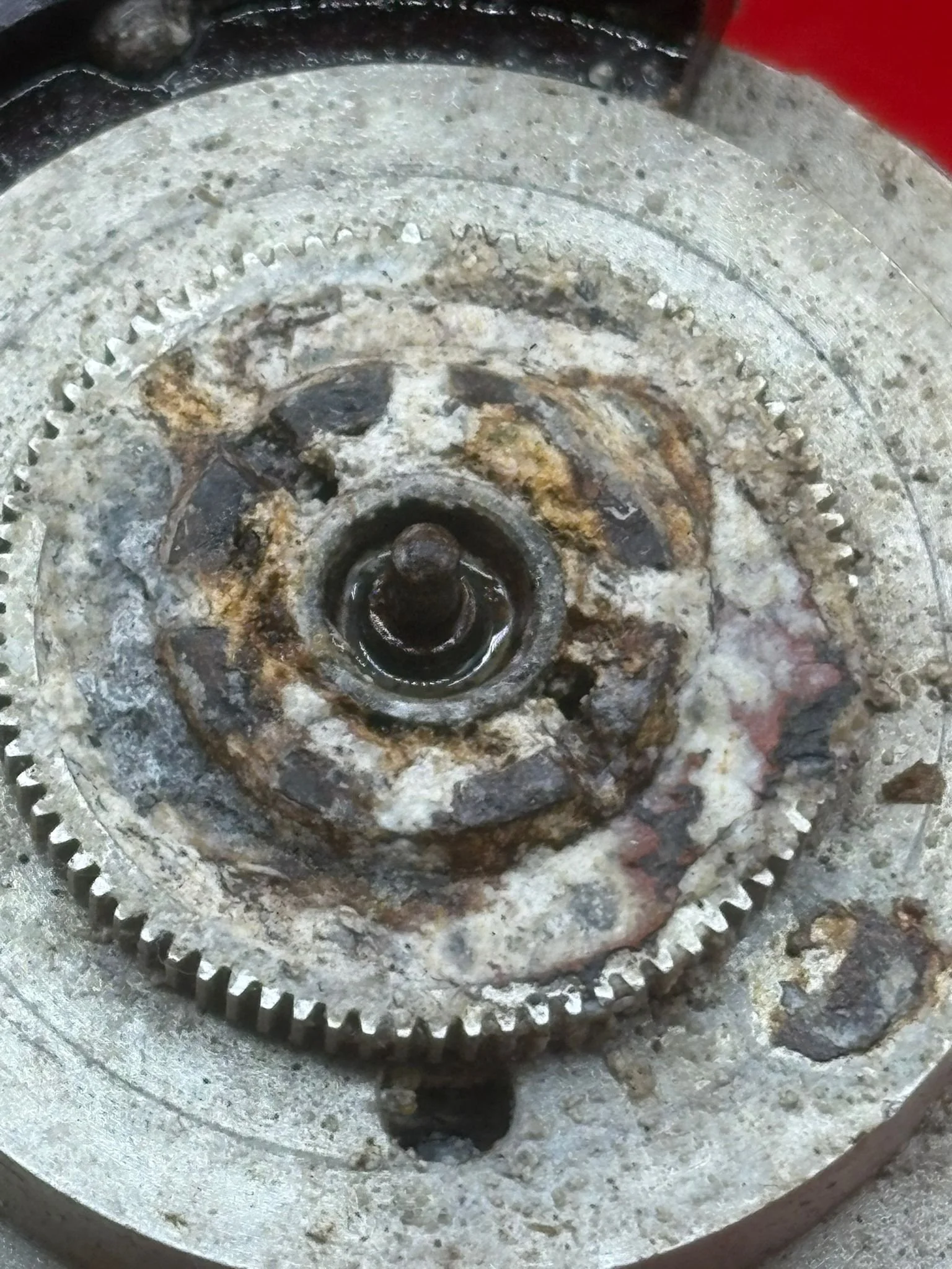 WhatsApp Image 2026-02-13 at 16.21.51 (5).jpeg