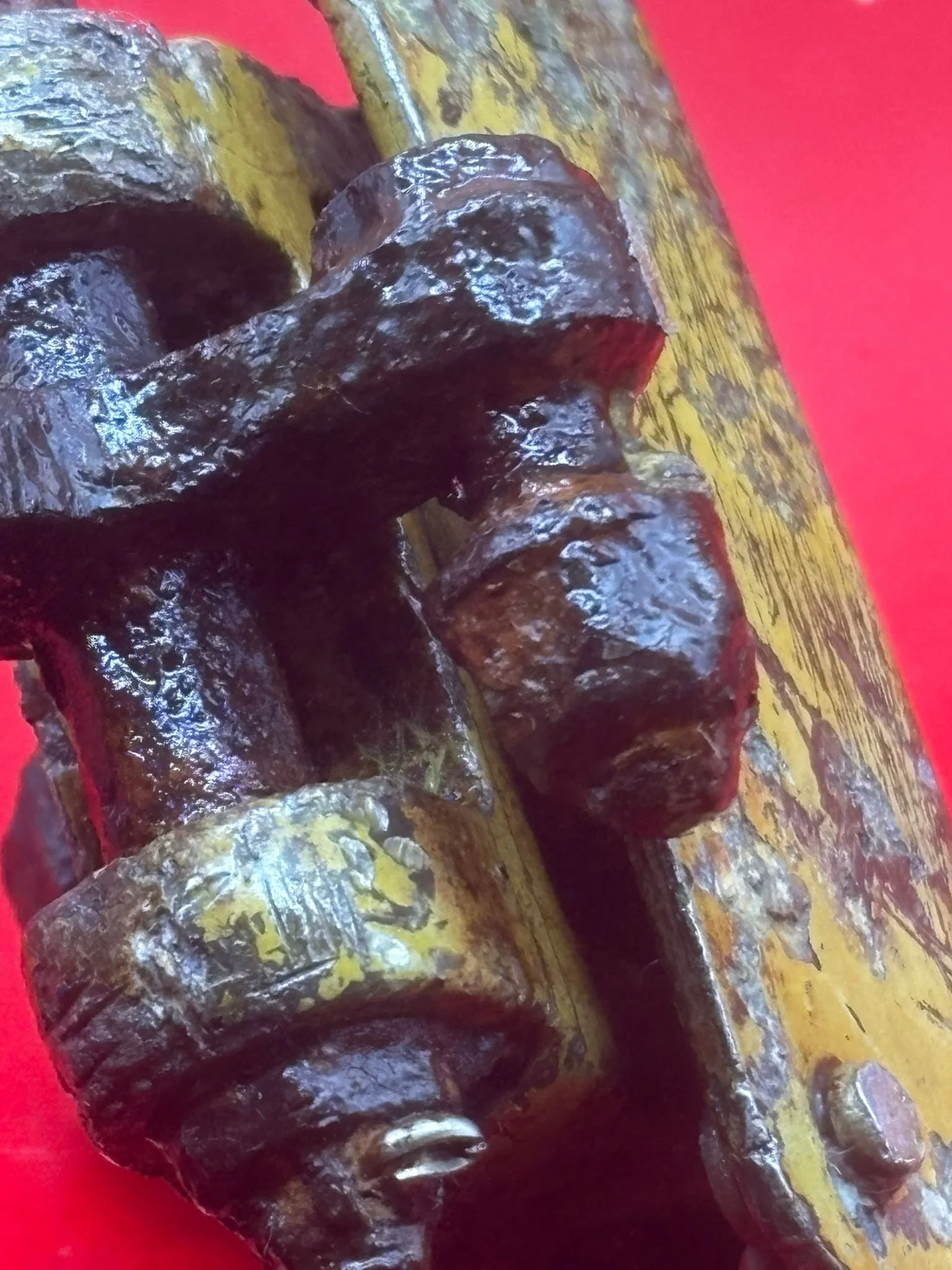 WhatsApp Image 2026-02-13 at 16.15.03 (3).jpeg