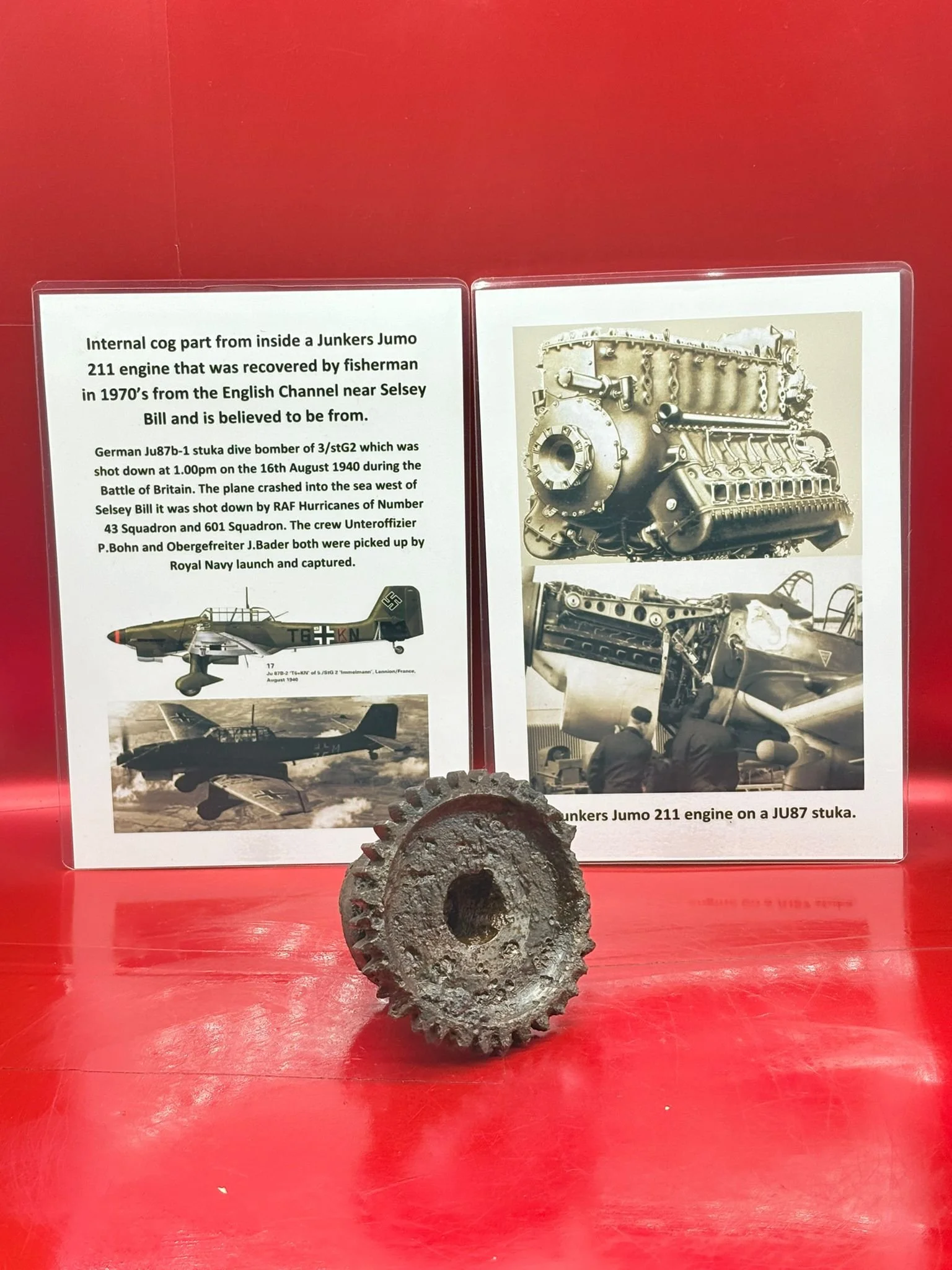 WhatsApp Image 2025-12-08 at 16.04.08.jpeg