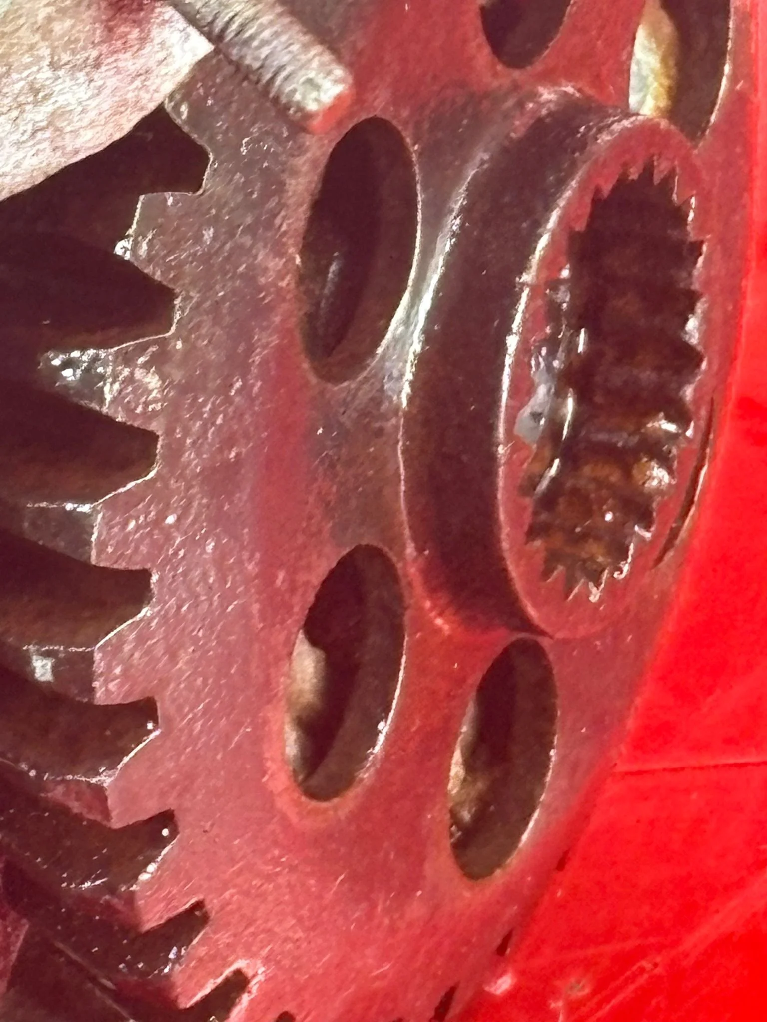 WhatsApp Image 2026-02-10 at 11.56.41.jpeg