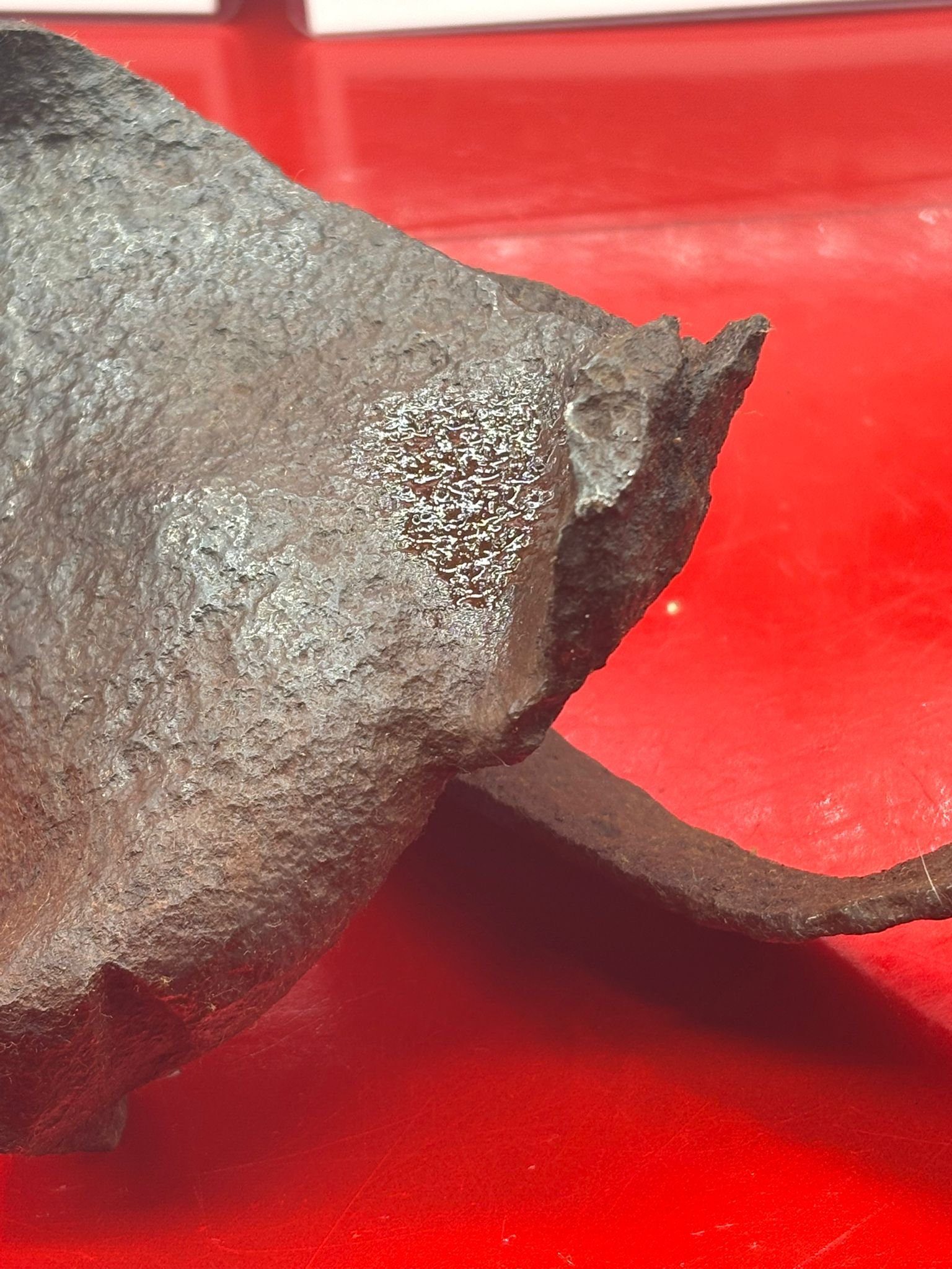 WhatsApp Image 2026-03-12 at 14.22.51 (4).jpeg