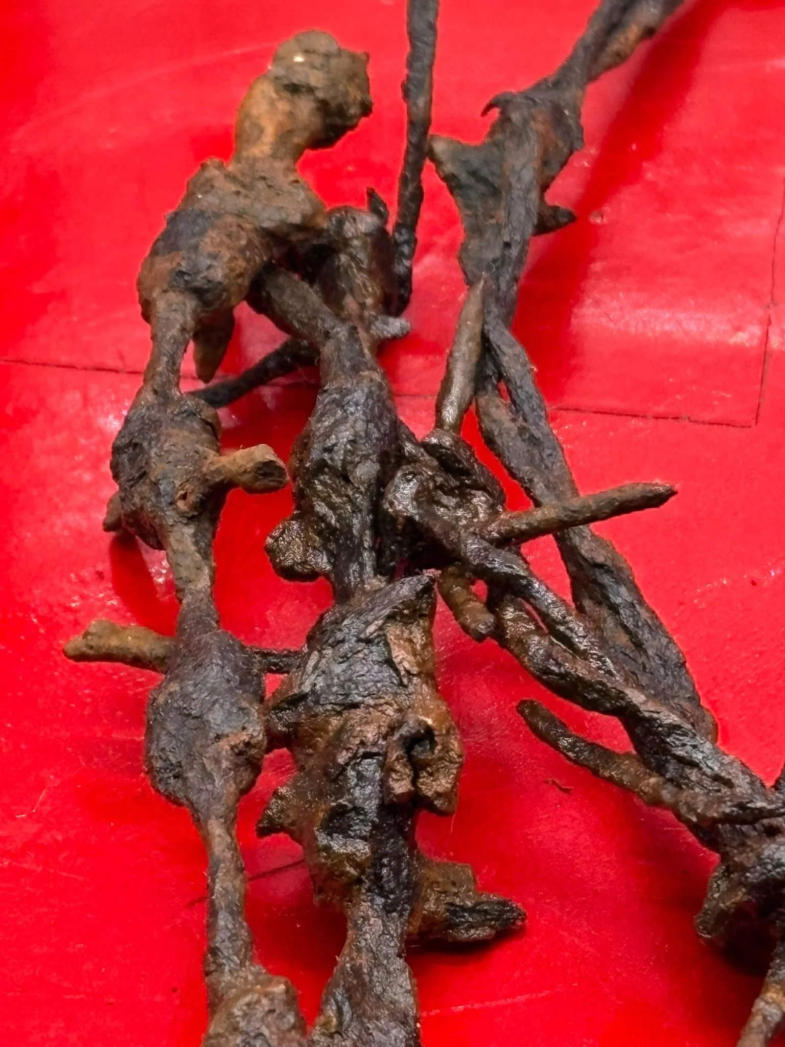 WhatsApp Image 2025-11-12 at 13.16.47 (4).jpeg