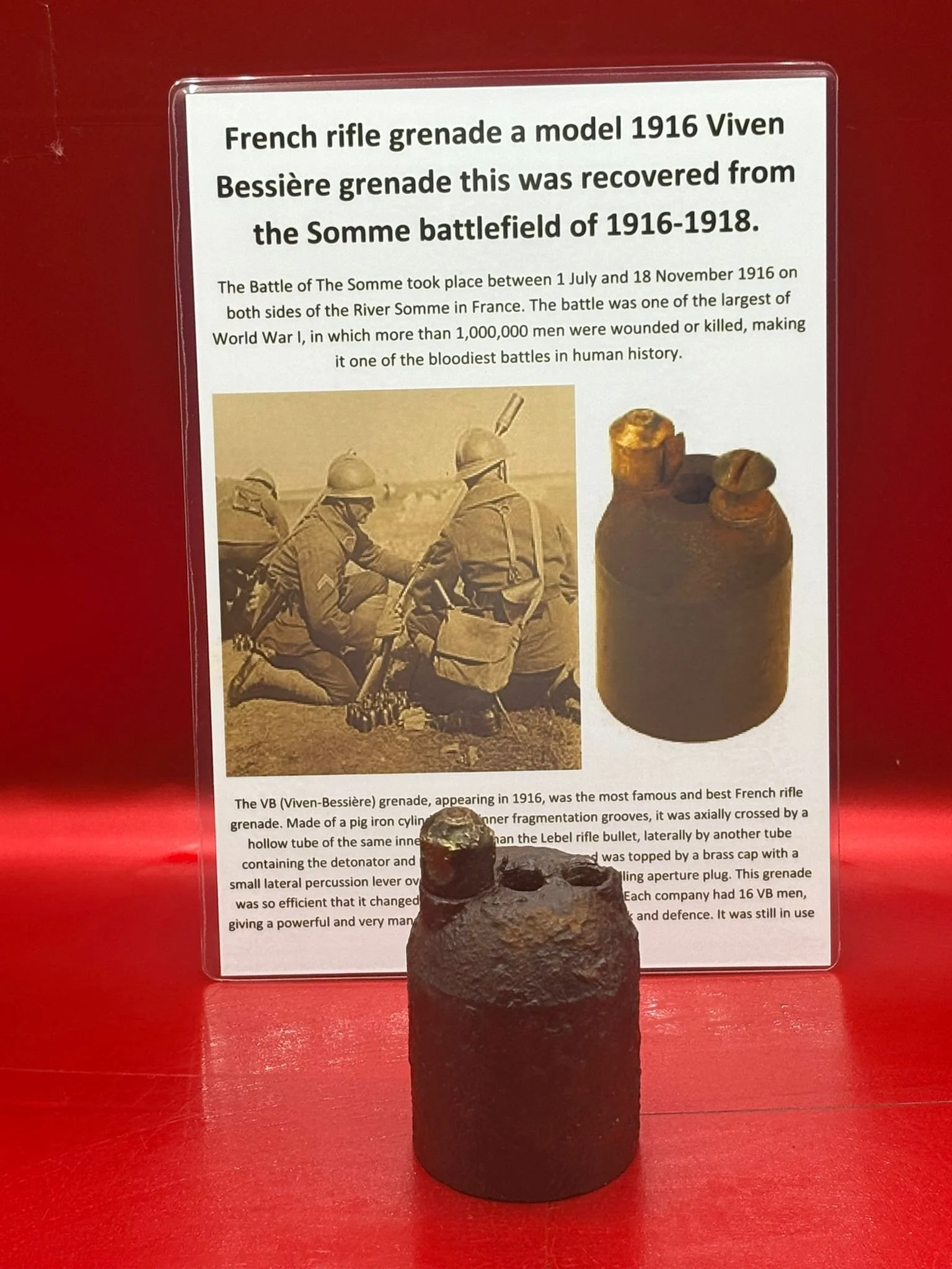 WhatsApp Image 2025-11-16 at 16.11.33.jpeg