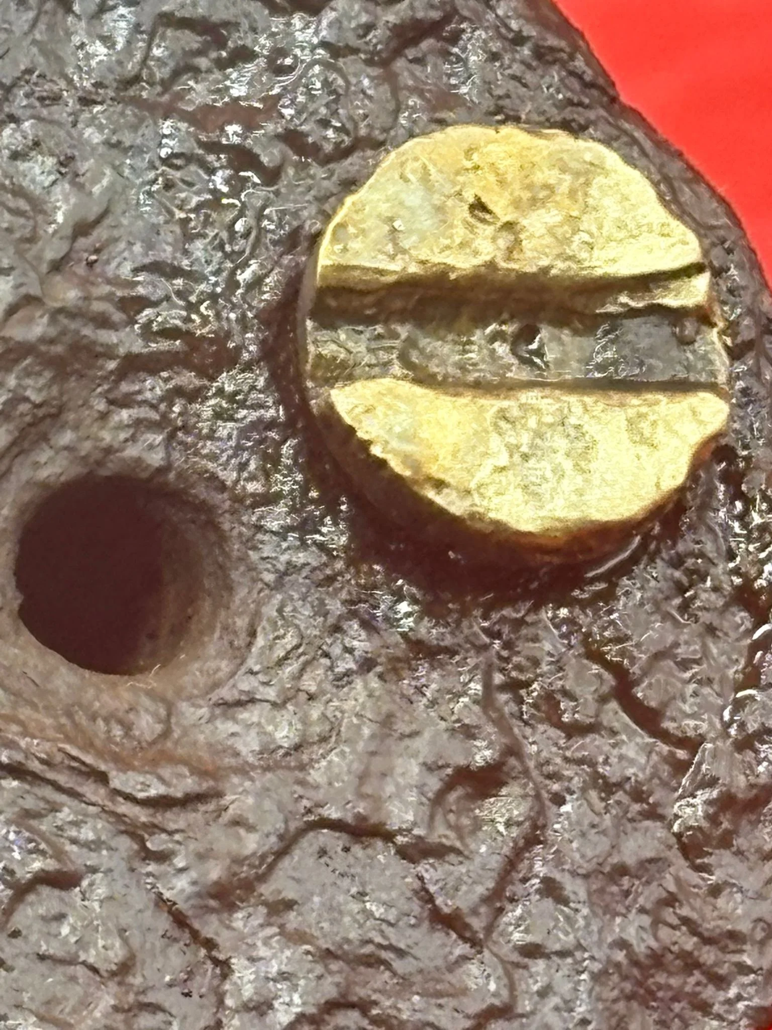 WhatsApp Image 2025-11-16 at 16.11.56.jpeg