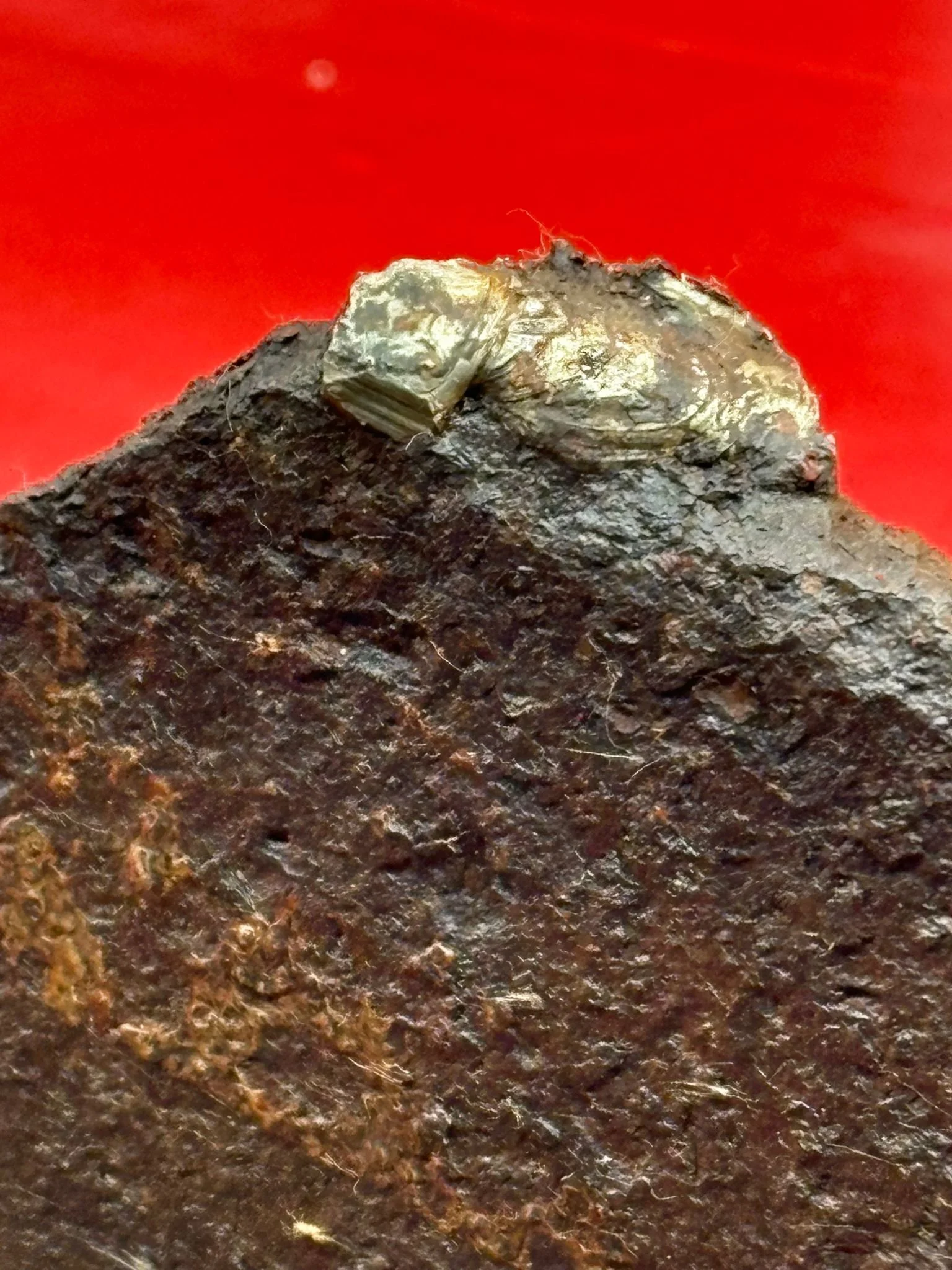 WhatsApp Image 2025-11-24 at 16.54.47 (1).jpeg