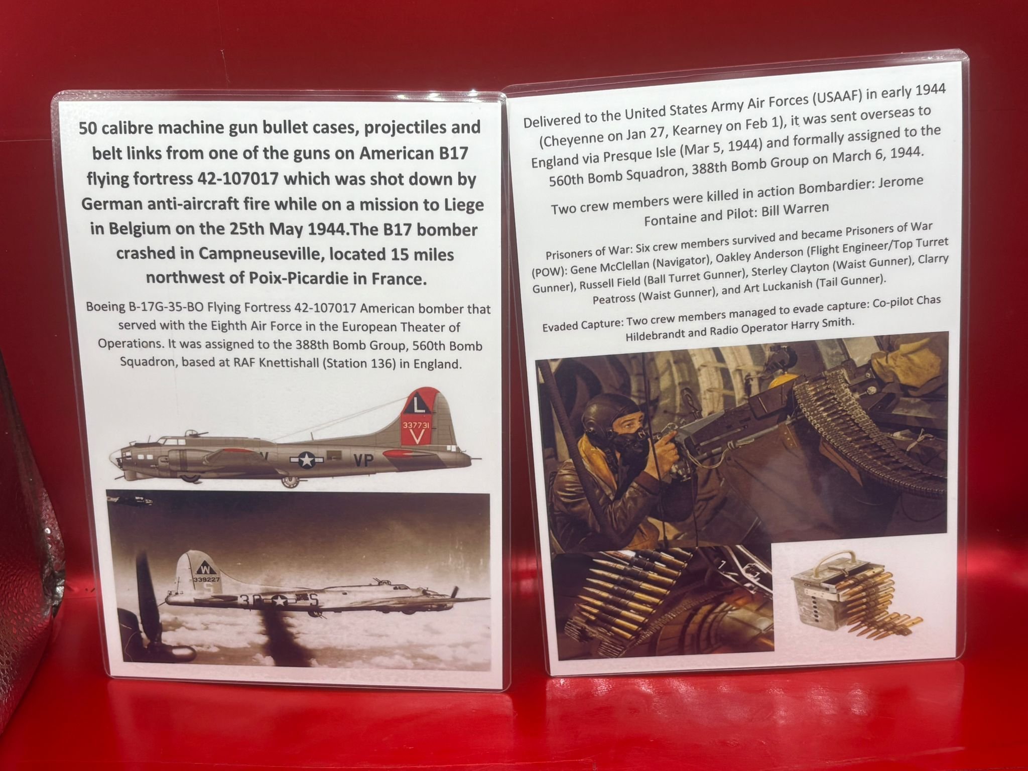 WhatsApp Image 2026-02-13 at 16.13.02 (1).jpeg