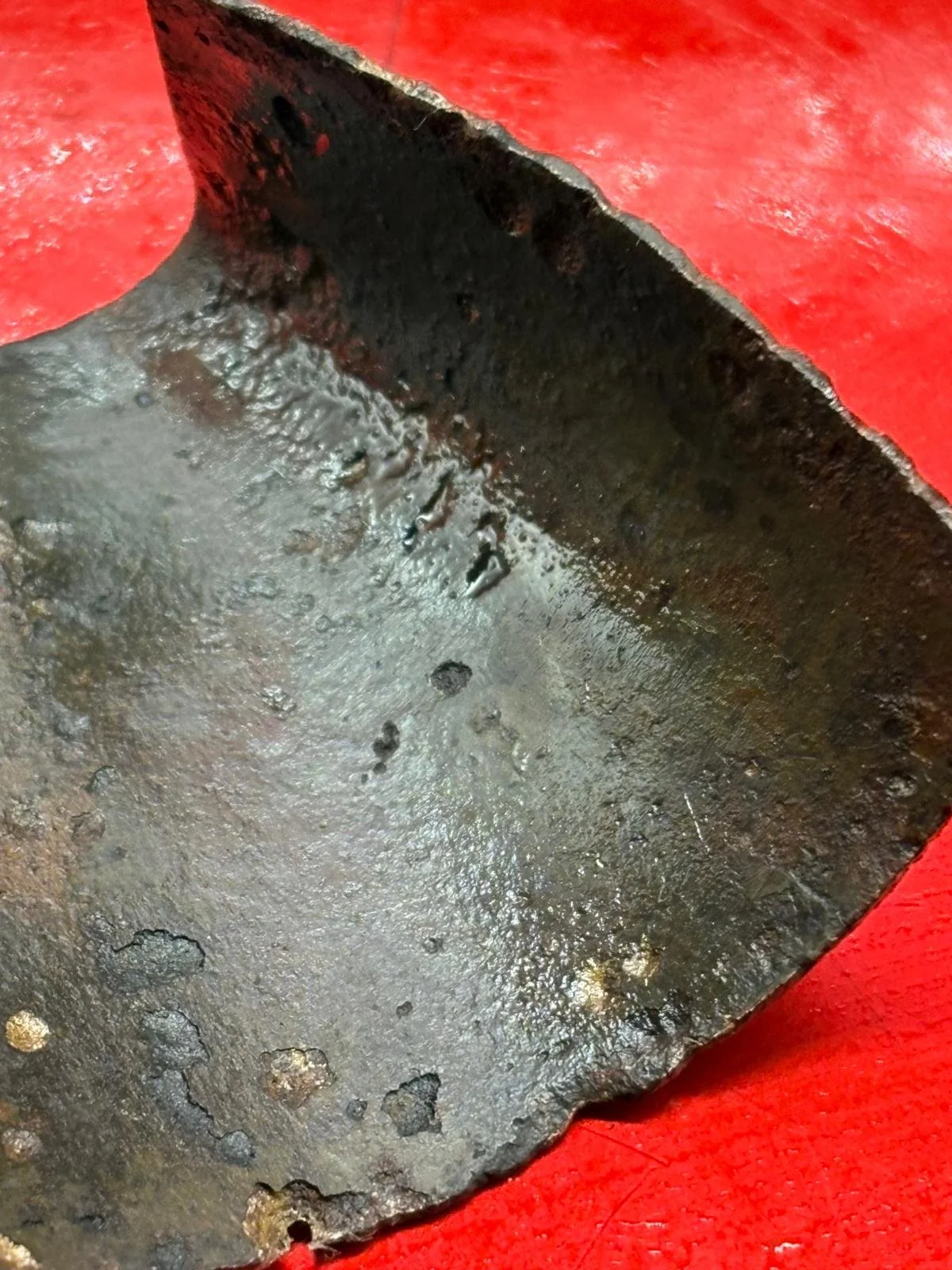 WhatsApp Image 2025-10-22 at 15.01.22 (3).jpeg