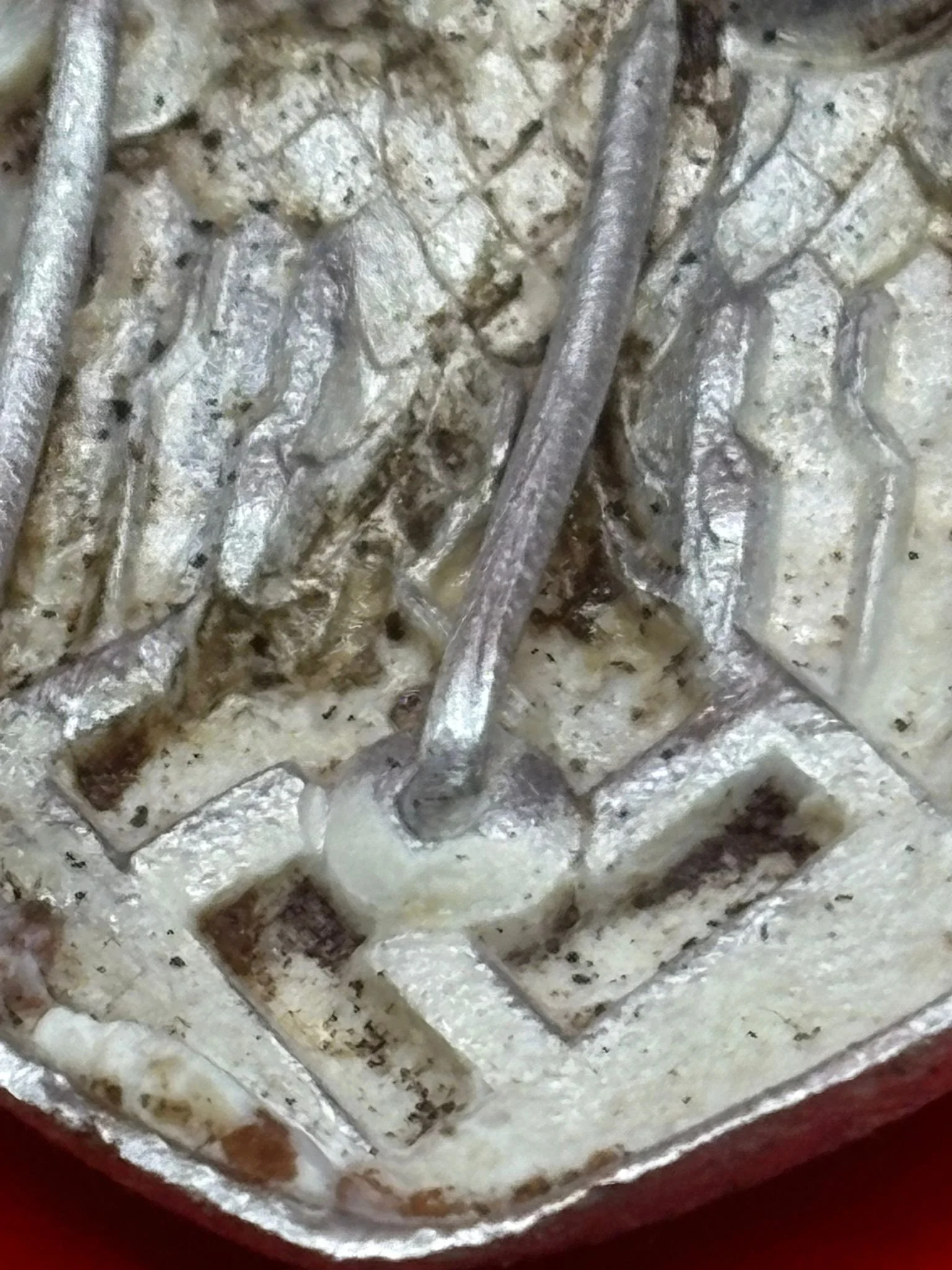 WhatsApp Image 2025-11-20 at 19.07.56 (5).jpeg