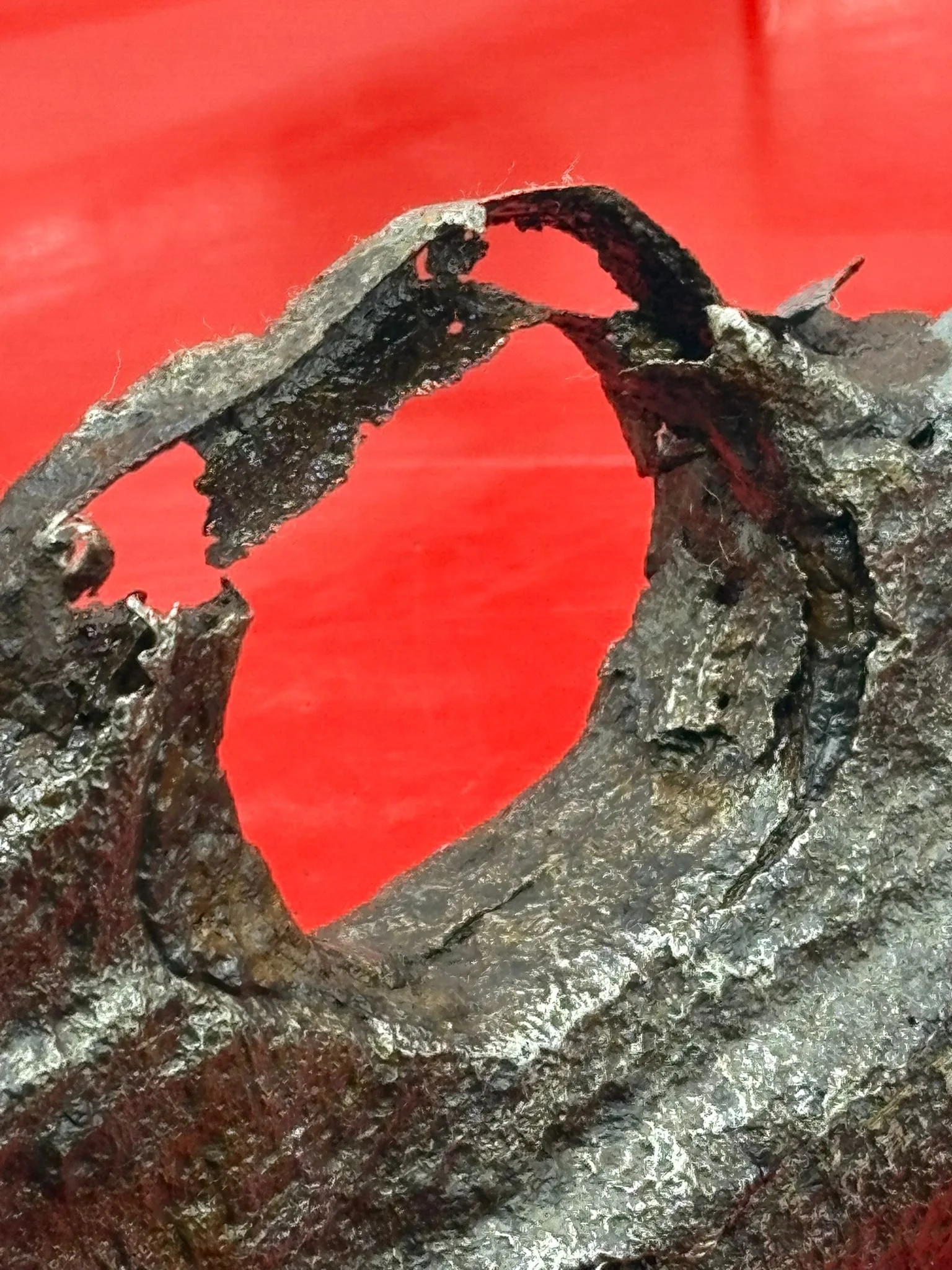 WhatsApp Image 2025-10-21 at 15.04.09 (3).jpeg