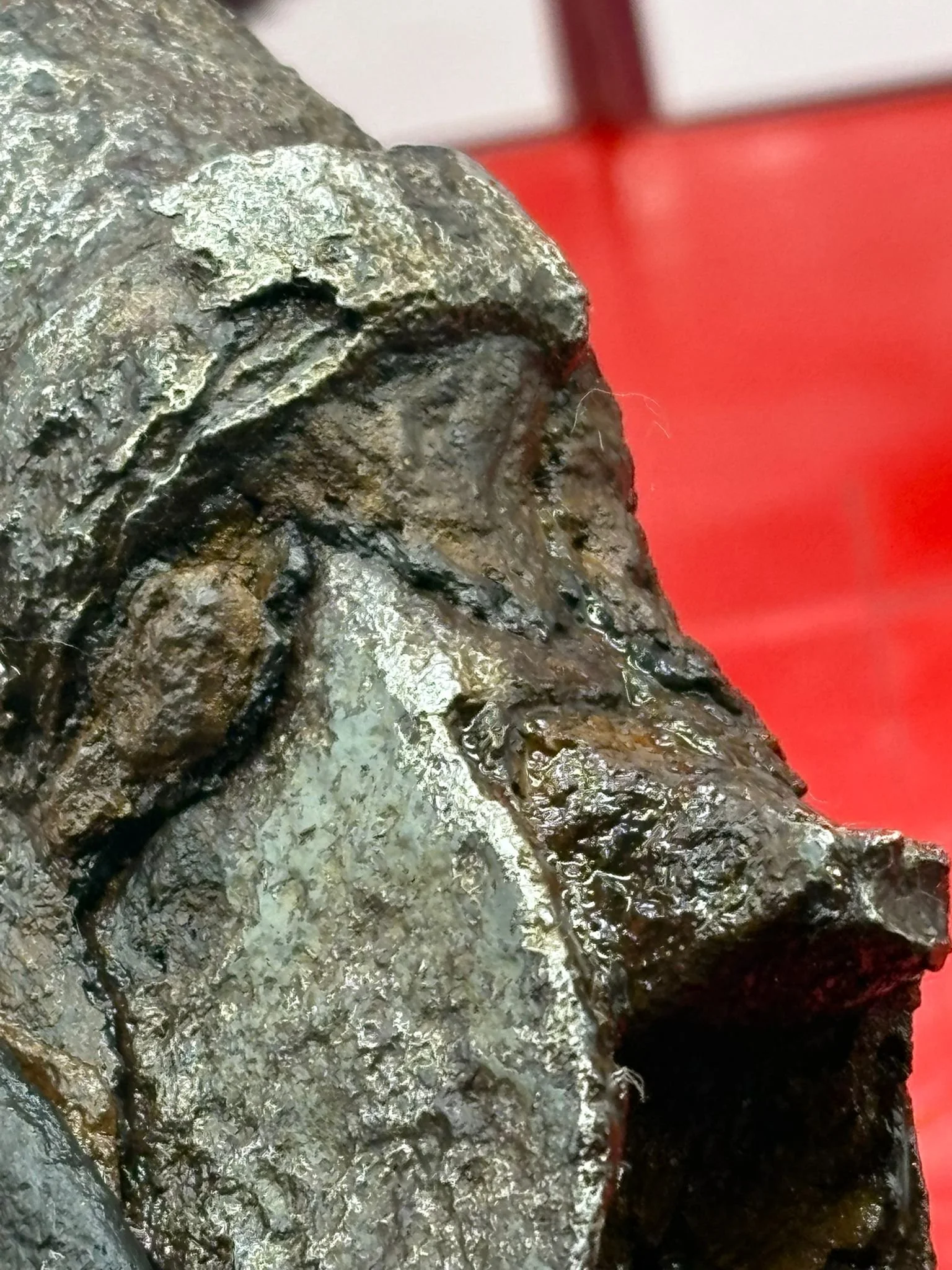 WhatsApp Image 2025-10-21 at 15.04.09 (5).jpeg