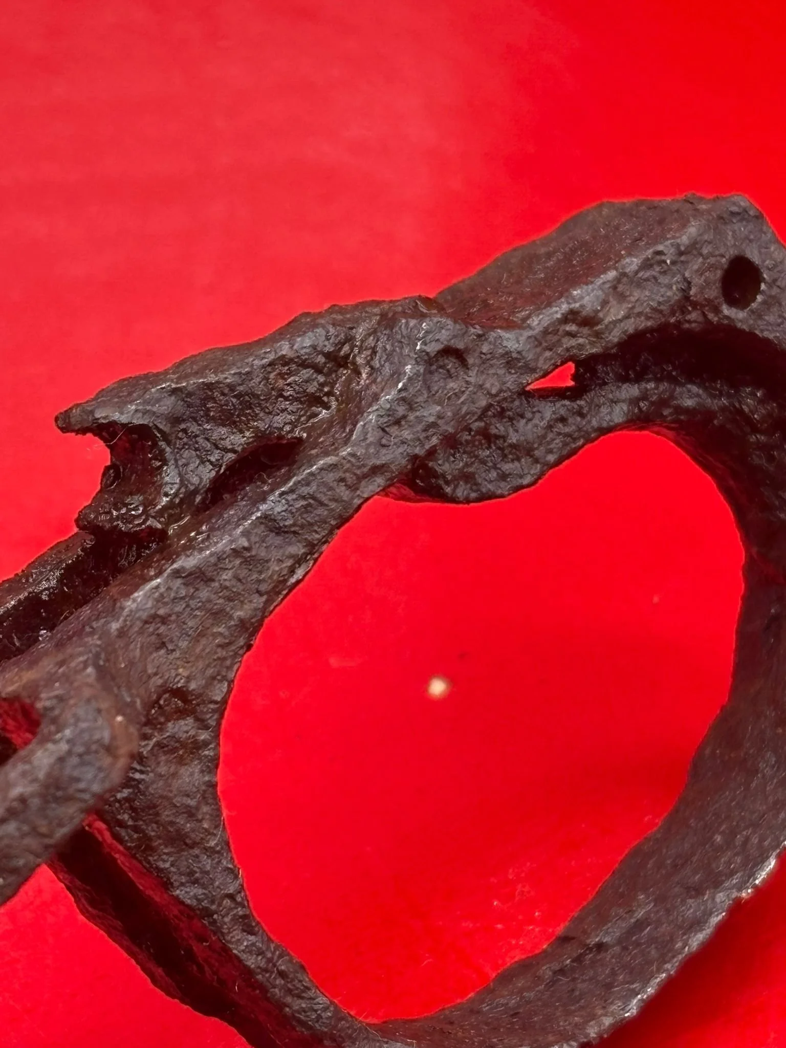 WhatsApp Image 2025-11-12 at 14.52.27.jpeg