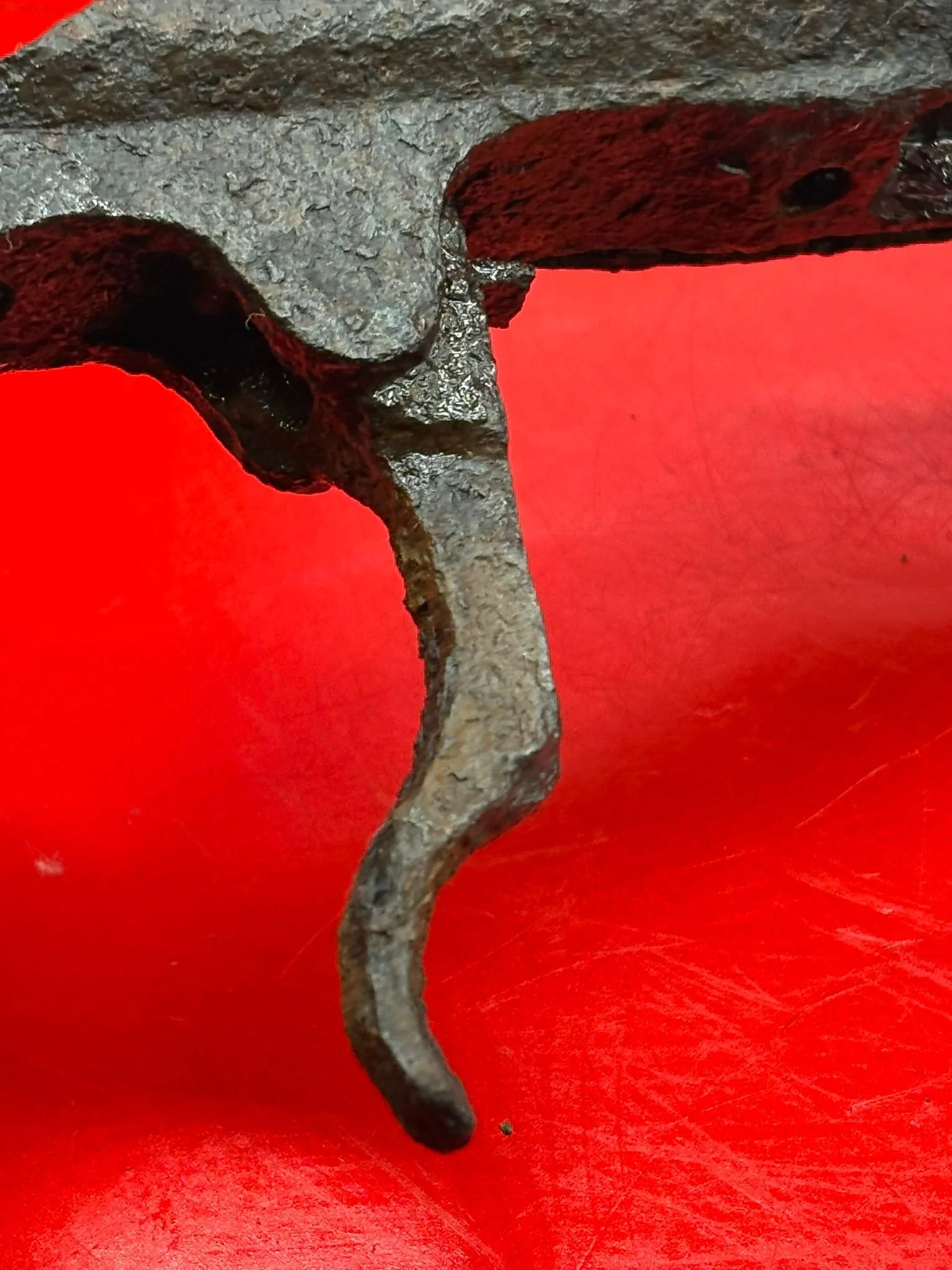 WhatsApp Image 2025-11-24 at 16.48.28.jpeg