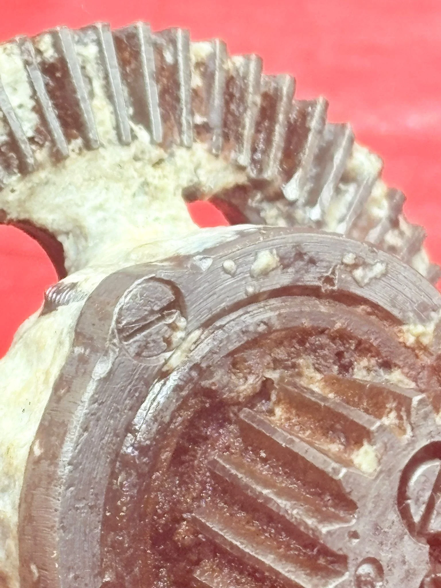 WhatsApp Image 2025-12-08 at 16.51.39 (4).jpeg