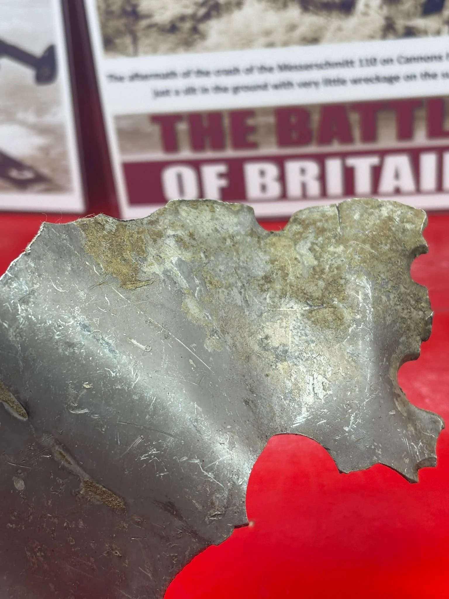 WhatsApp Image 2026-03-12 at 14.22.29.jpeg