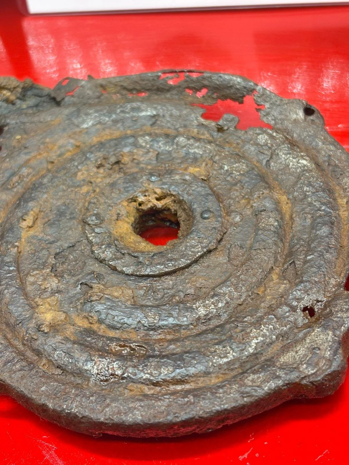 WhatsApp Image 2026-02-10 at 14.58.47 (3).jpeg