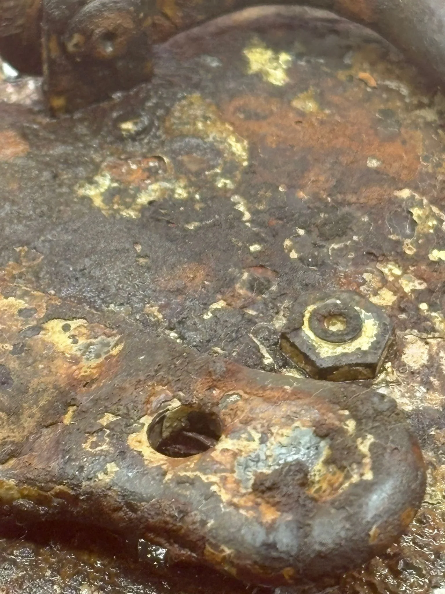 WhatsApp Image 2025-11-24 at 17.11.22.jpeg