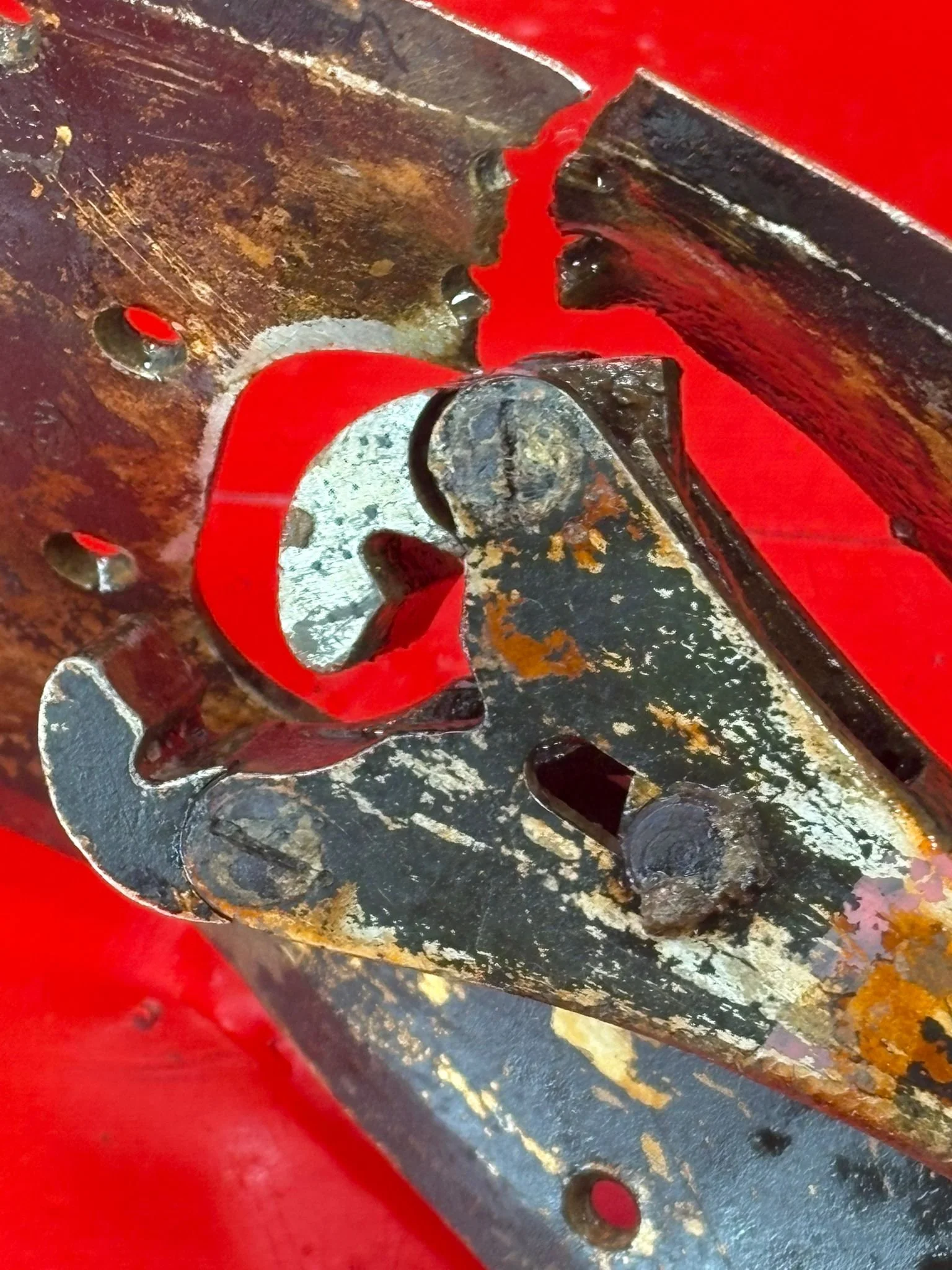 WhatsApp Image 2026-02-10 at 11.54.36 (4).jpeg