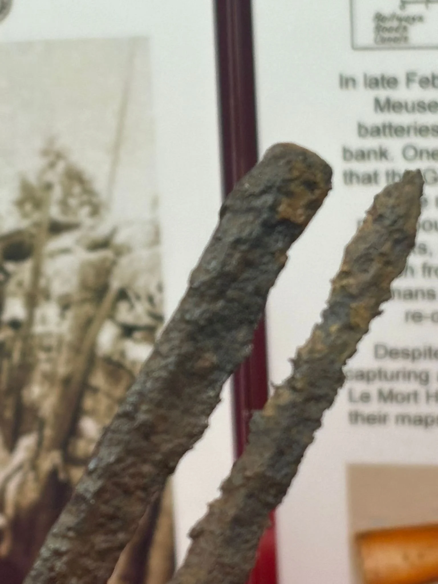 WhatsApp Image 2025-11-16 at 16.05.50 (5).jpeg