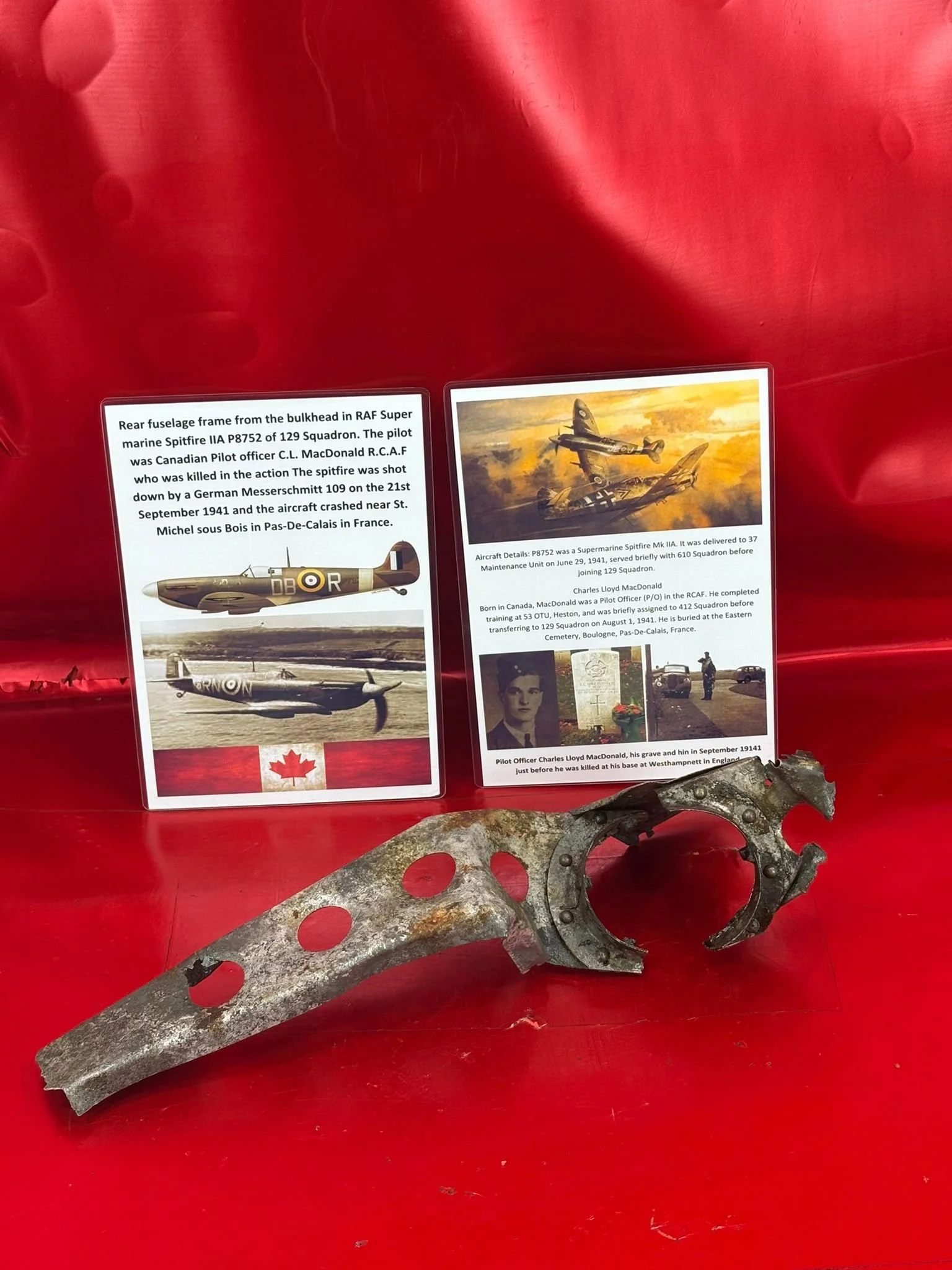 WhatsApp Image 2026-02-10 at 11.57.23.jpeg