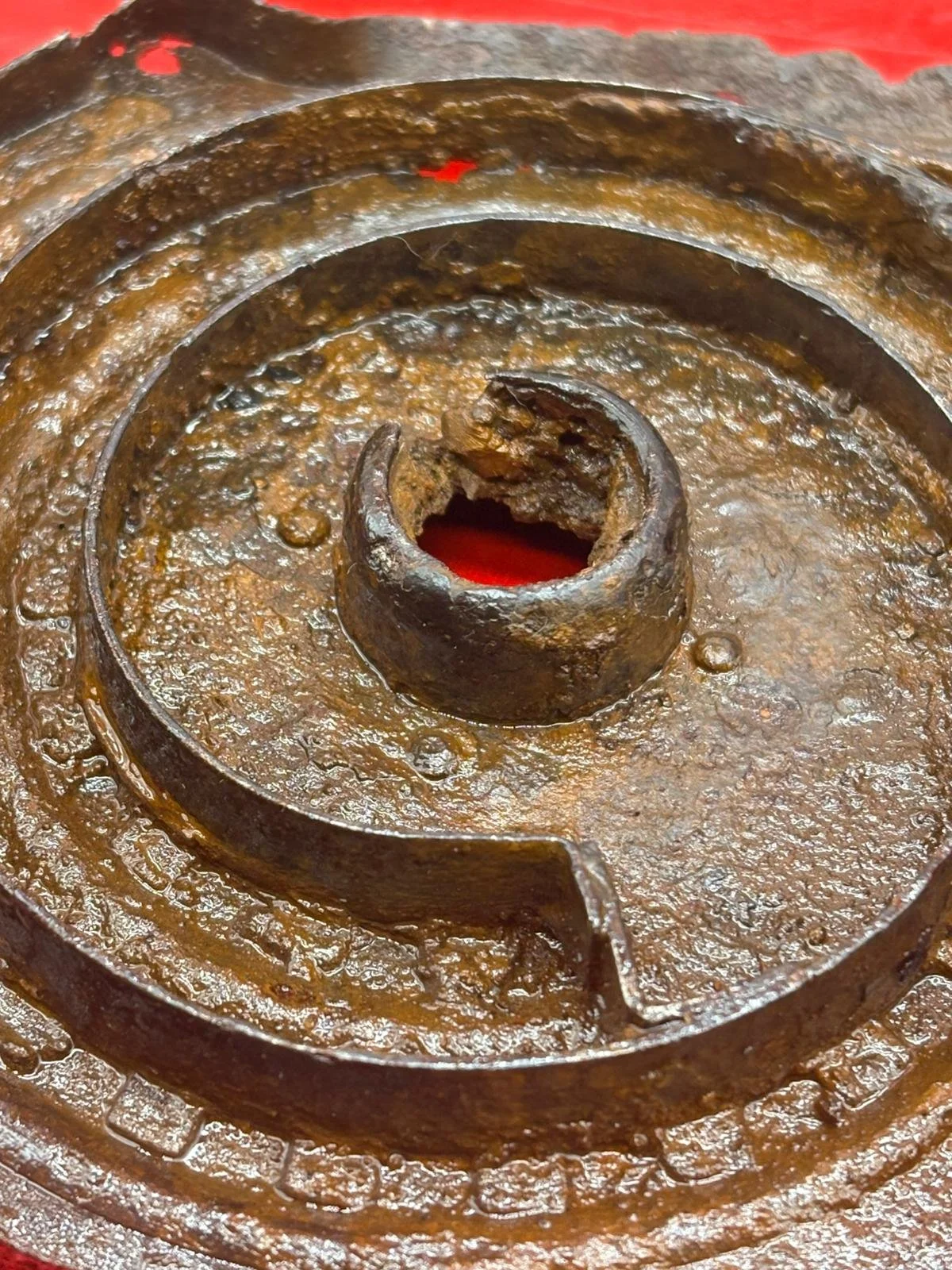 WhatsApp Image 2026-02-10 at 14.58.48.jpeg