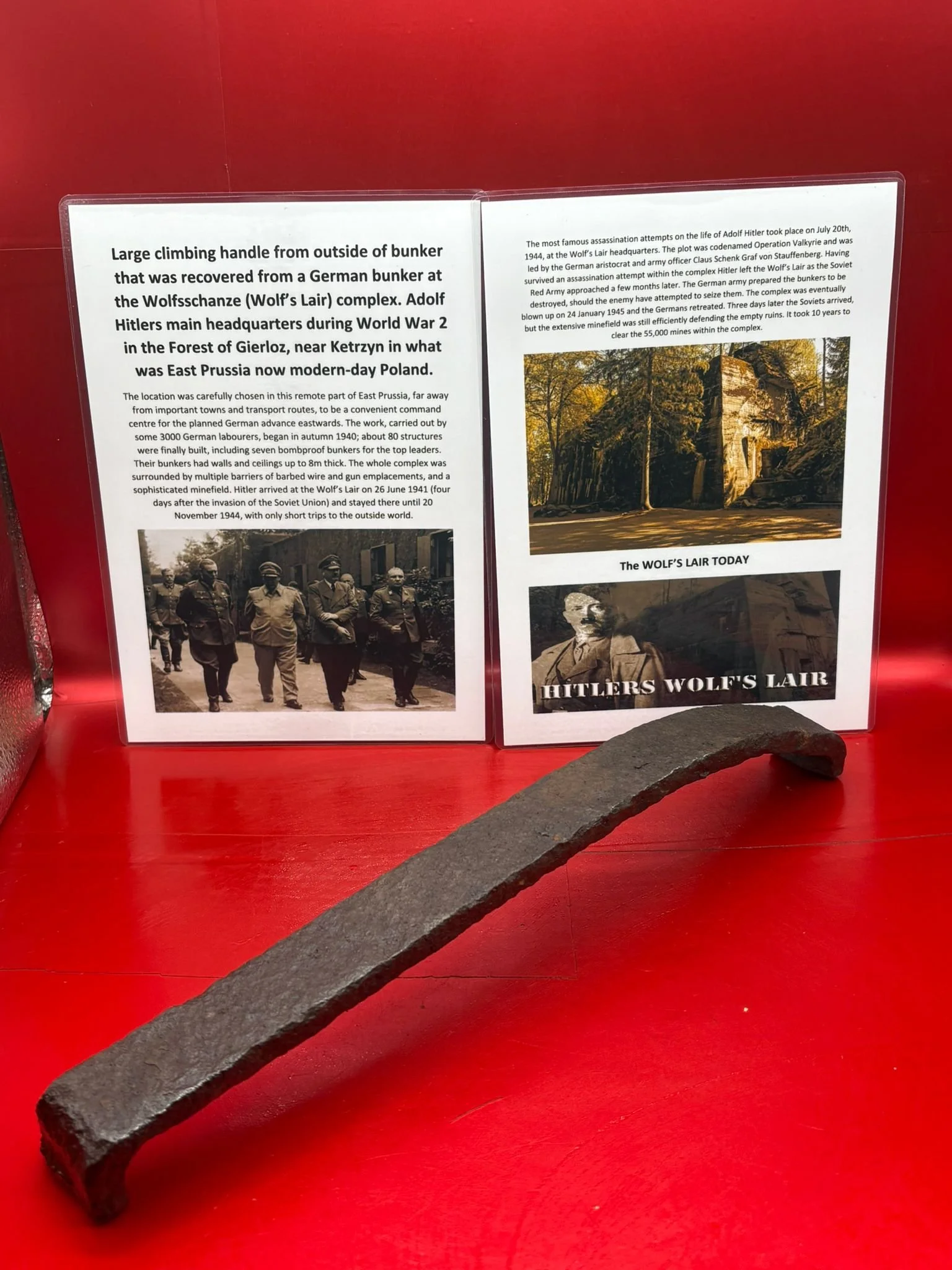 WhatsApp Image 2025-11-20 at 18.33.45.jpeg