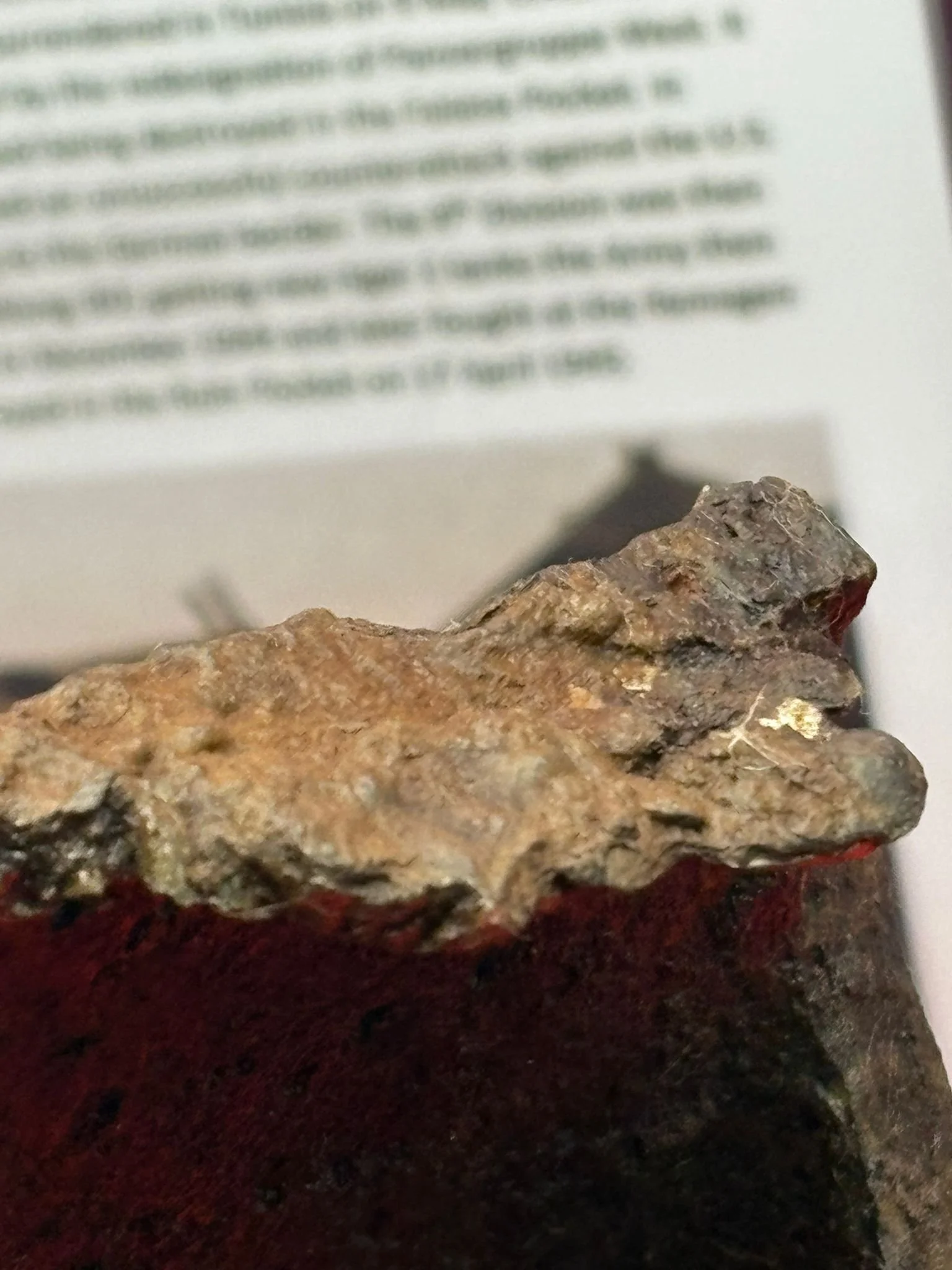 WhatsApp Image 2025-11-24 at 16.54.47 (3).jpeg